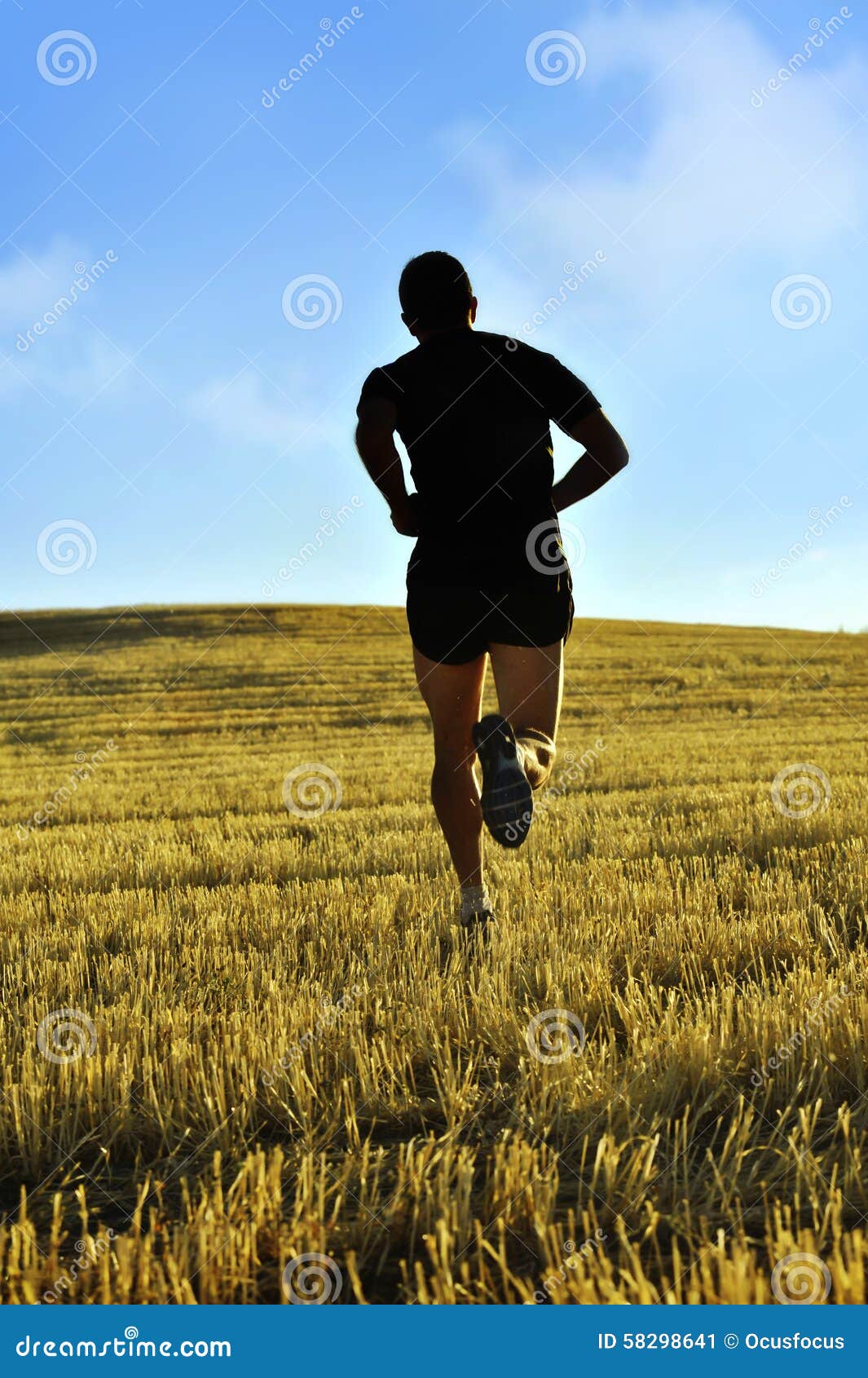 человек в поле цветы. включи бегает по полю. человек бежит по полю. девушка бежит в поле со спины. включи бегает по полю.