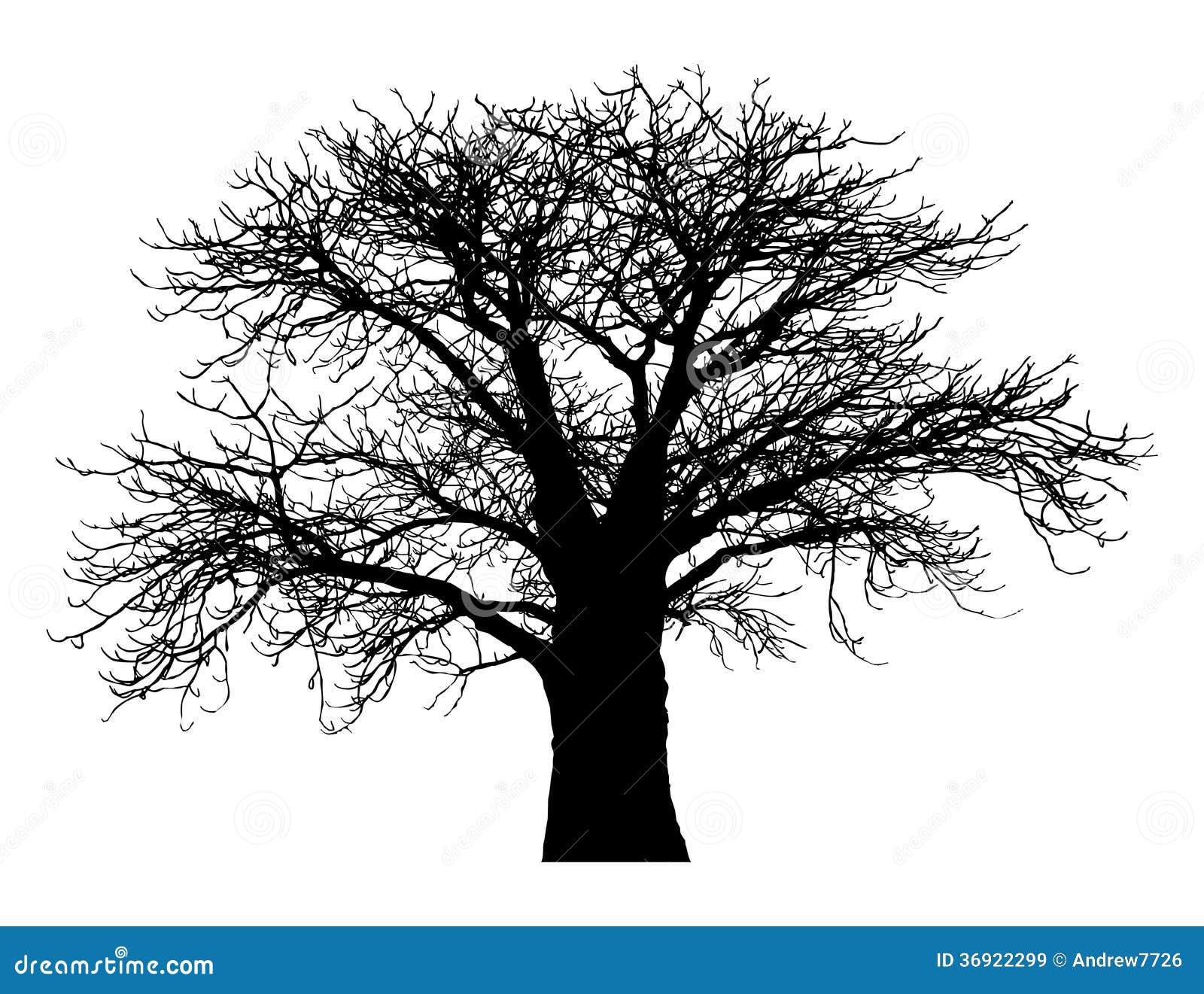 Free Through The Baobab Tree