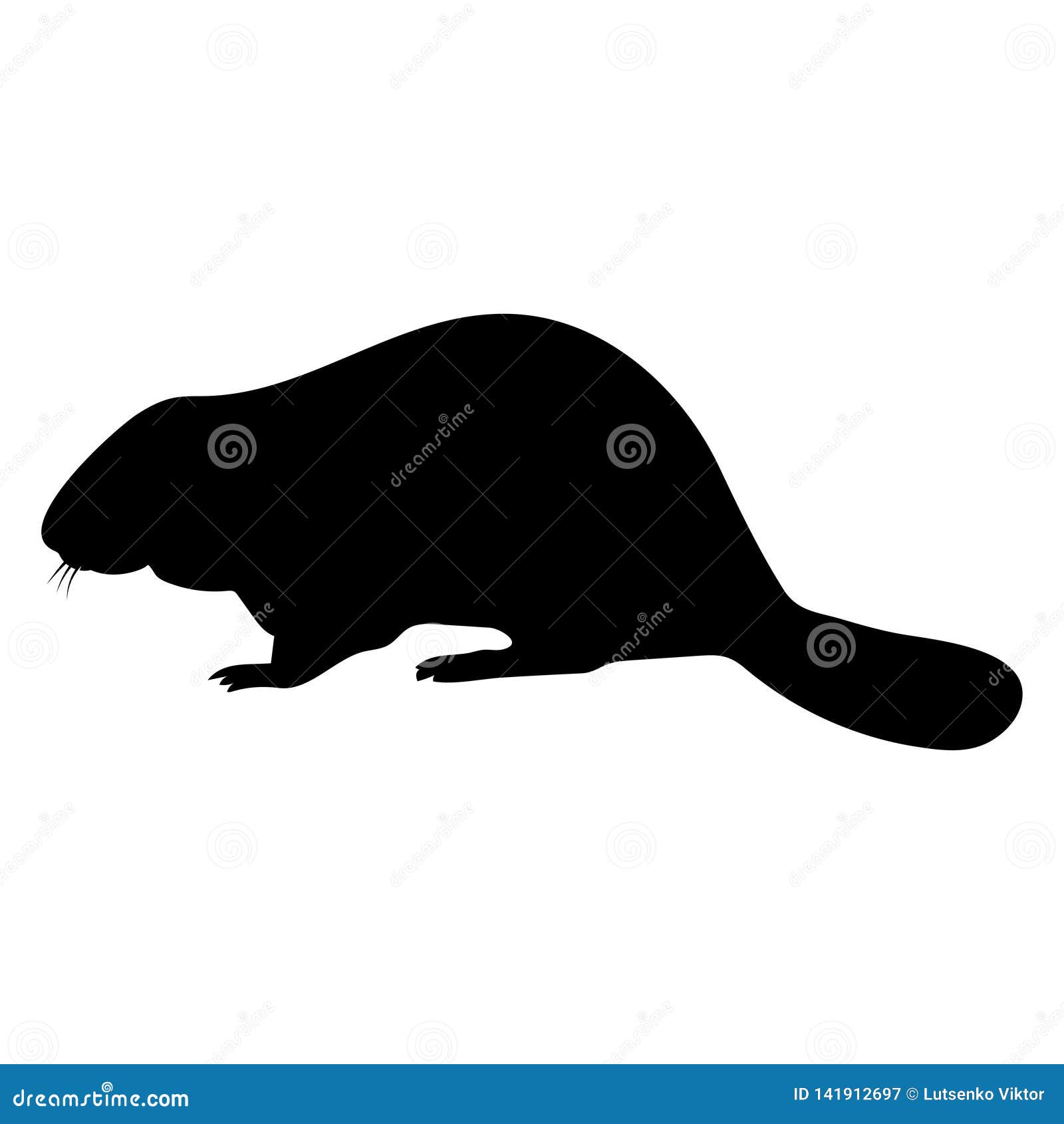 Beaver Drawing Outline