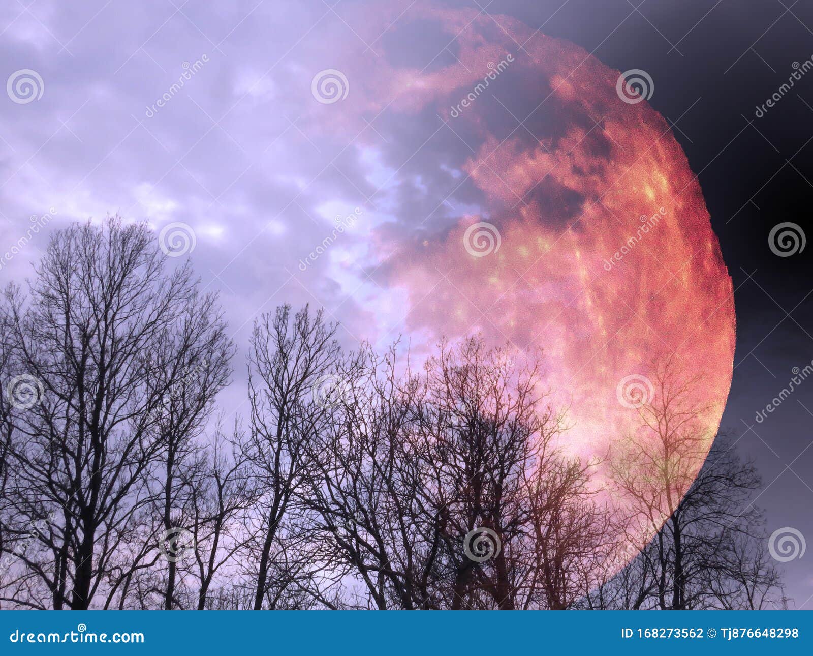 Blood Moon Wallpaper 4K Lunar Eclipse 6215