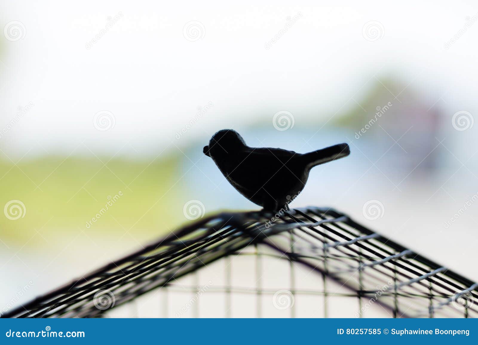 Silhouette Bird Escaping from the Cage. Freedom Concept Stock Image