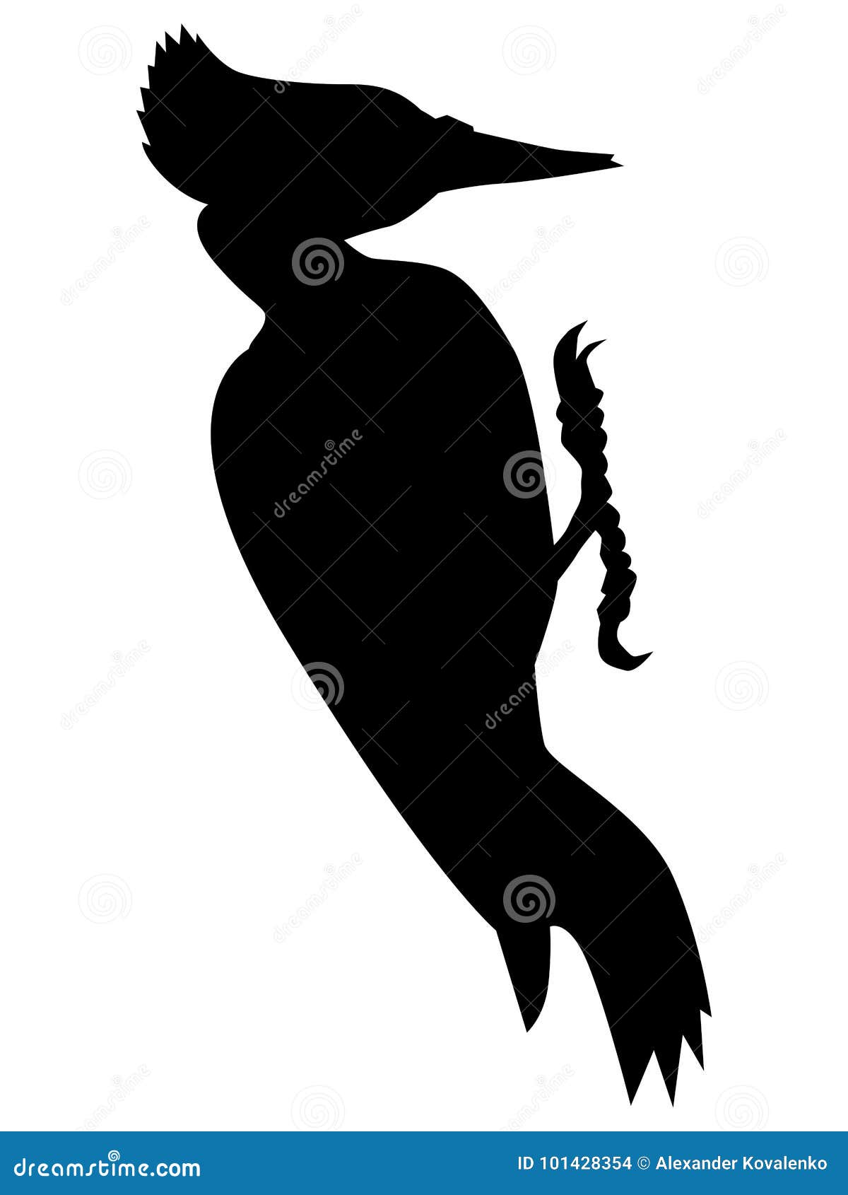 Silhouette of Black Woodpecker Stock Illustration Illustration of