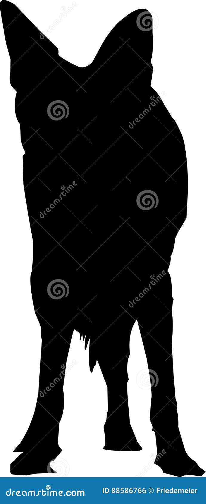 Silhouette of a Blackbacked Jackal Stock Vector - Illustration of