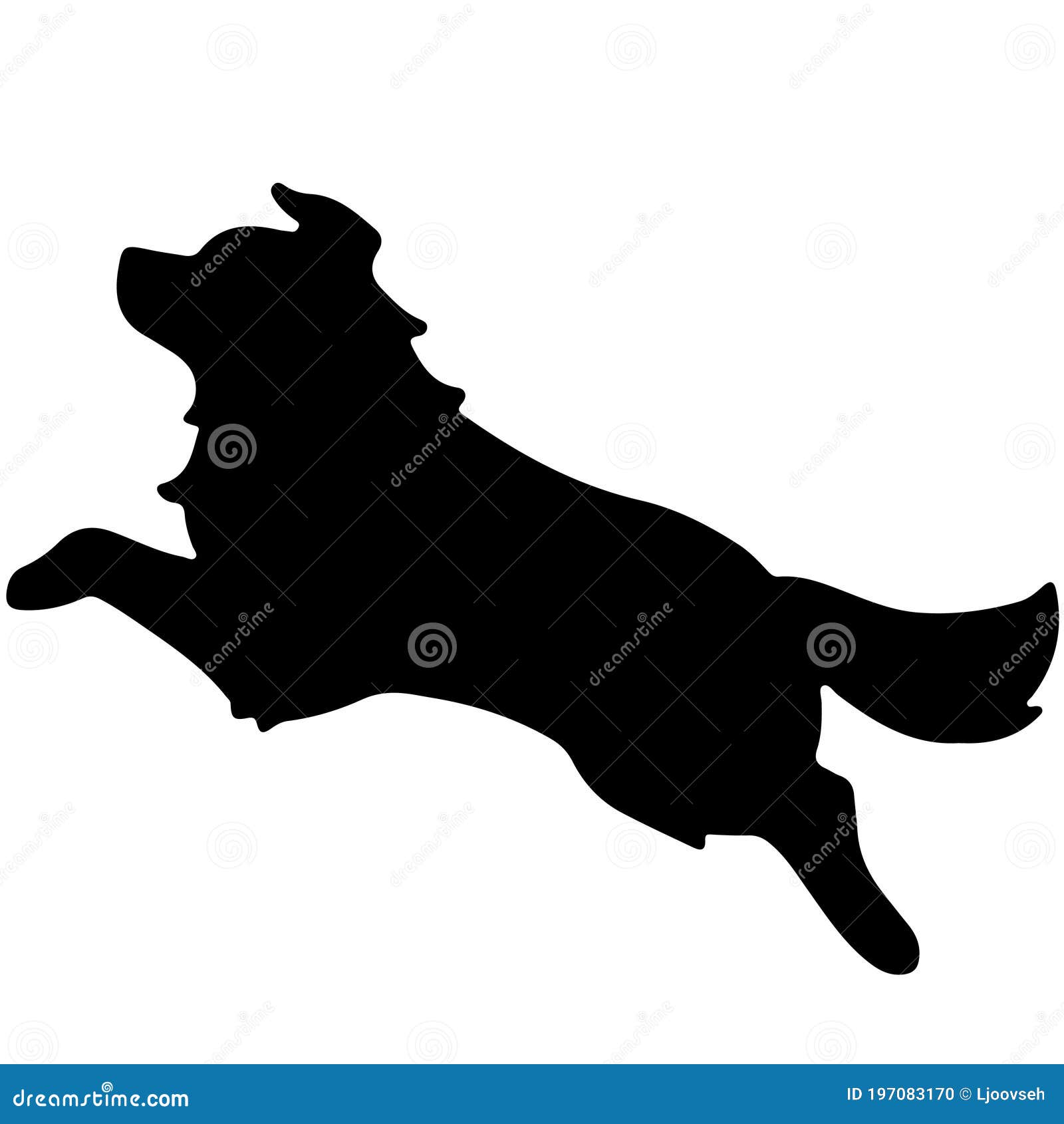 39+ Border Collie Jumping Silhouette Image - Bleumoonproductions
