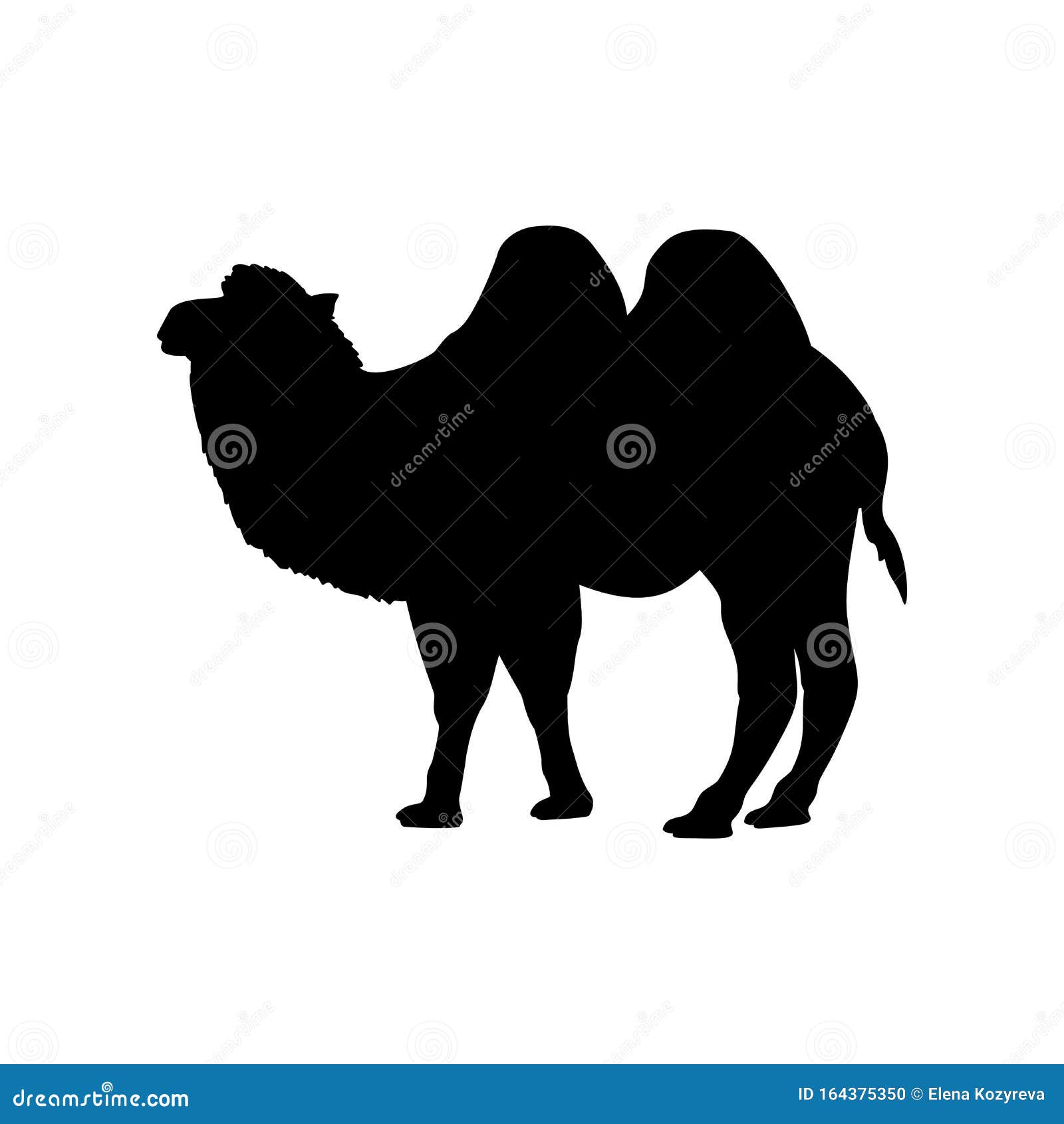 Download Silhouette Of Camel. Animal Desert Wildlife. Stock Vector ...