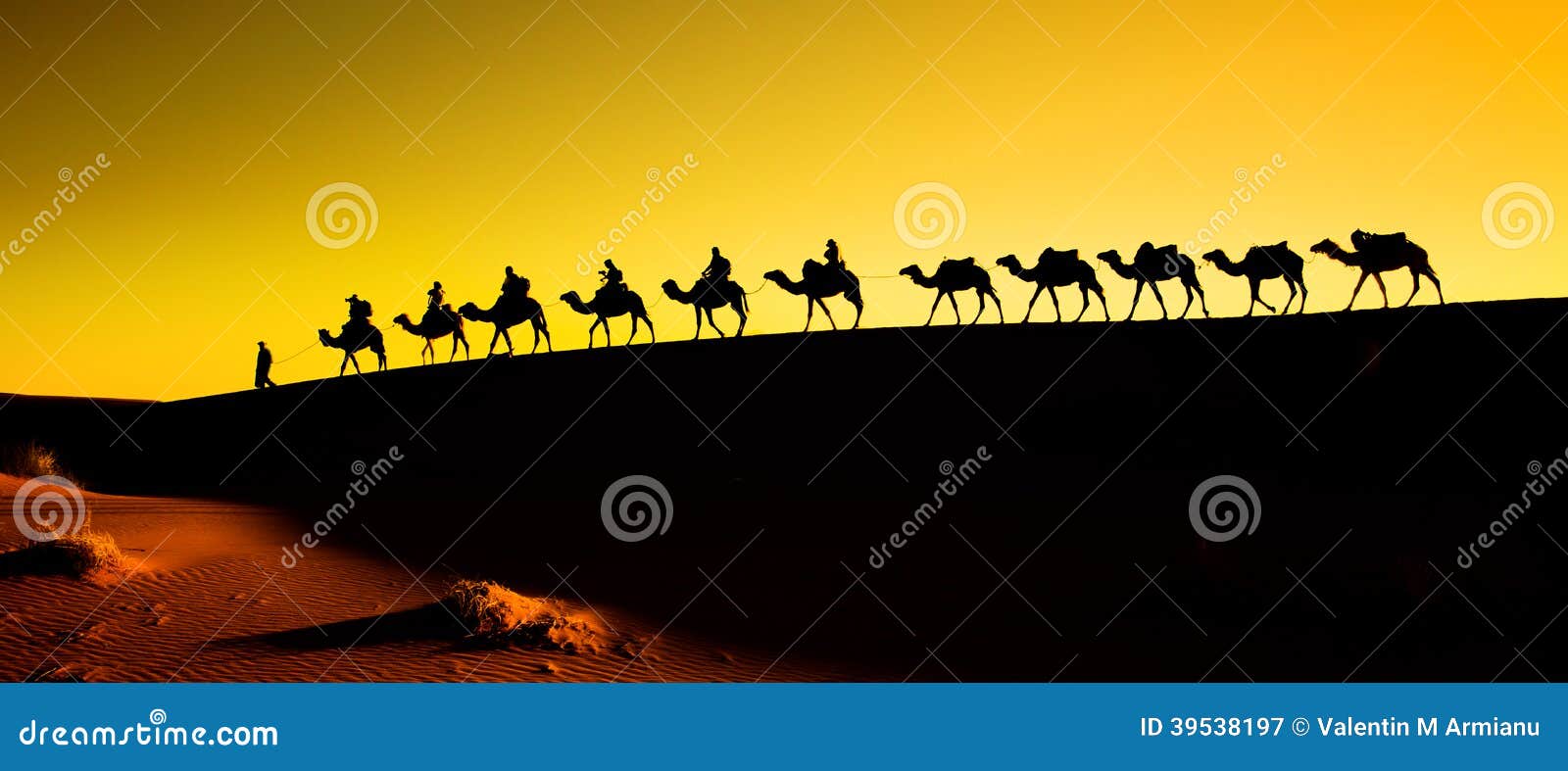 silhouette of a camel caravan