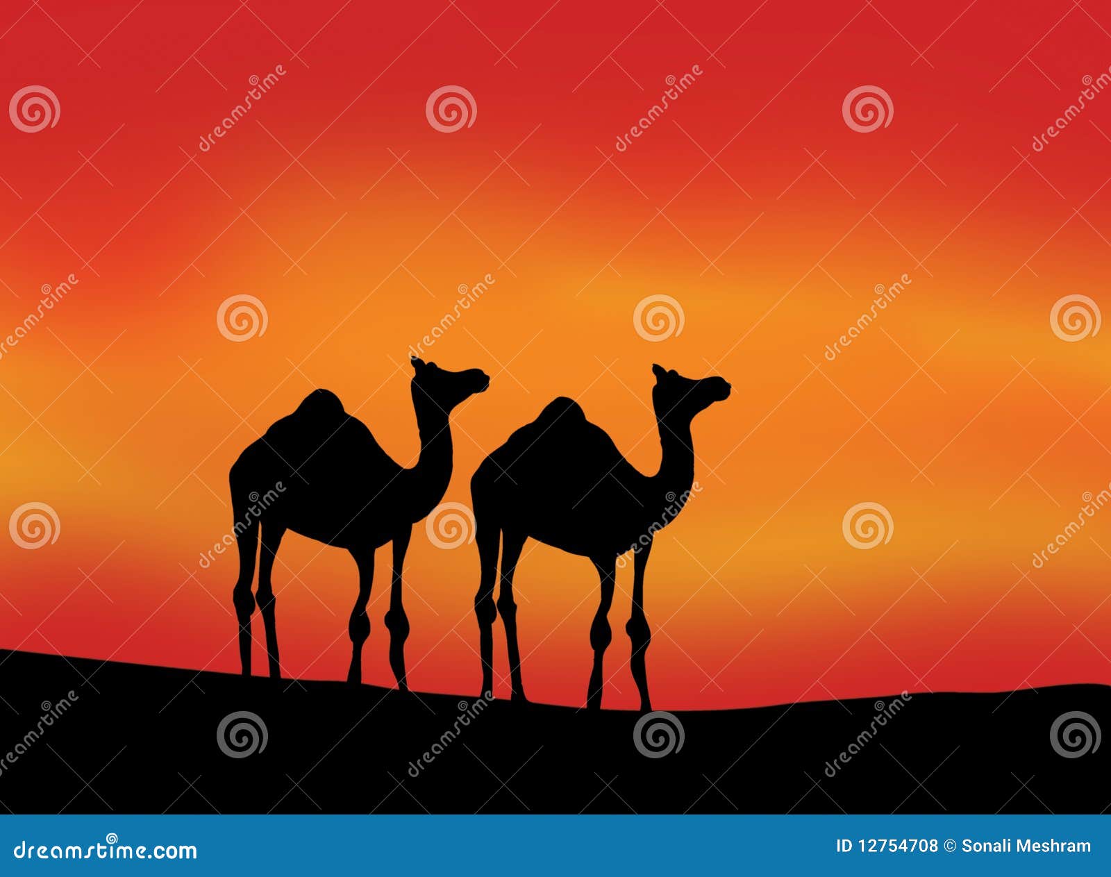 silhouette of camels