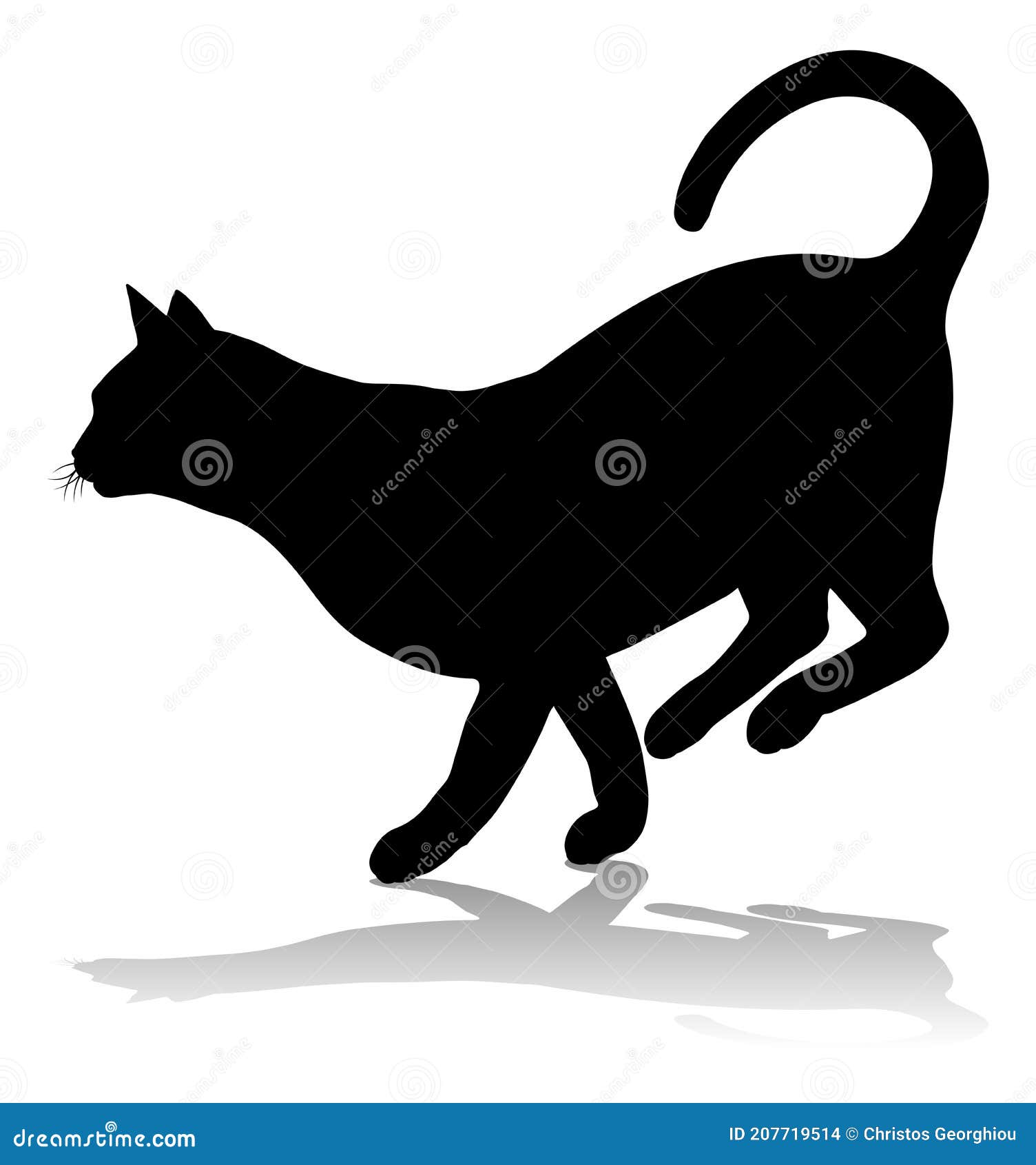 silhouette cat pet animal