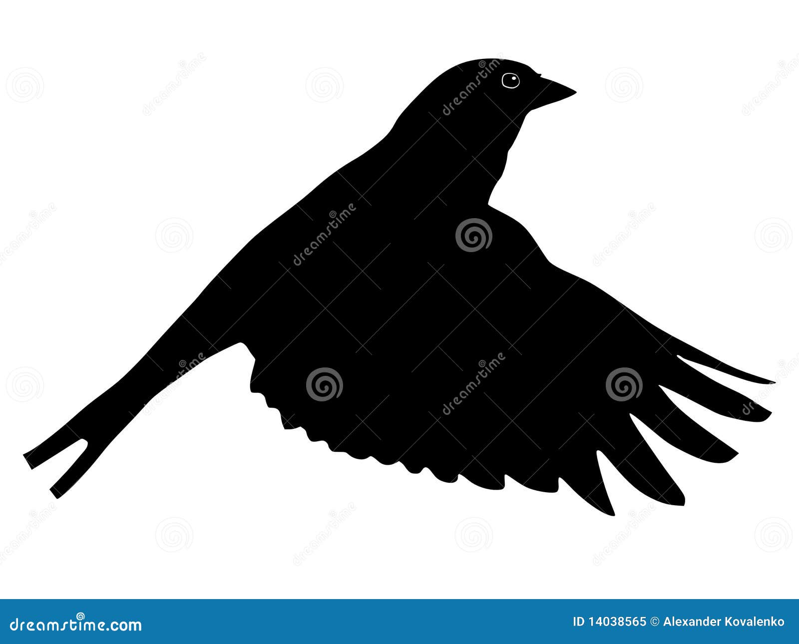 Silhouette of chaffinch stock vector. Illustration of underwater - 14038565