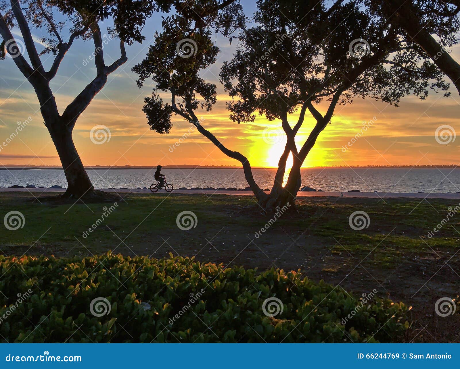 silhouette of a child riding a bicycle at sunset at bayside park