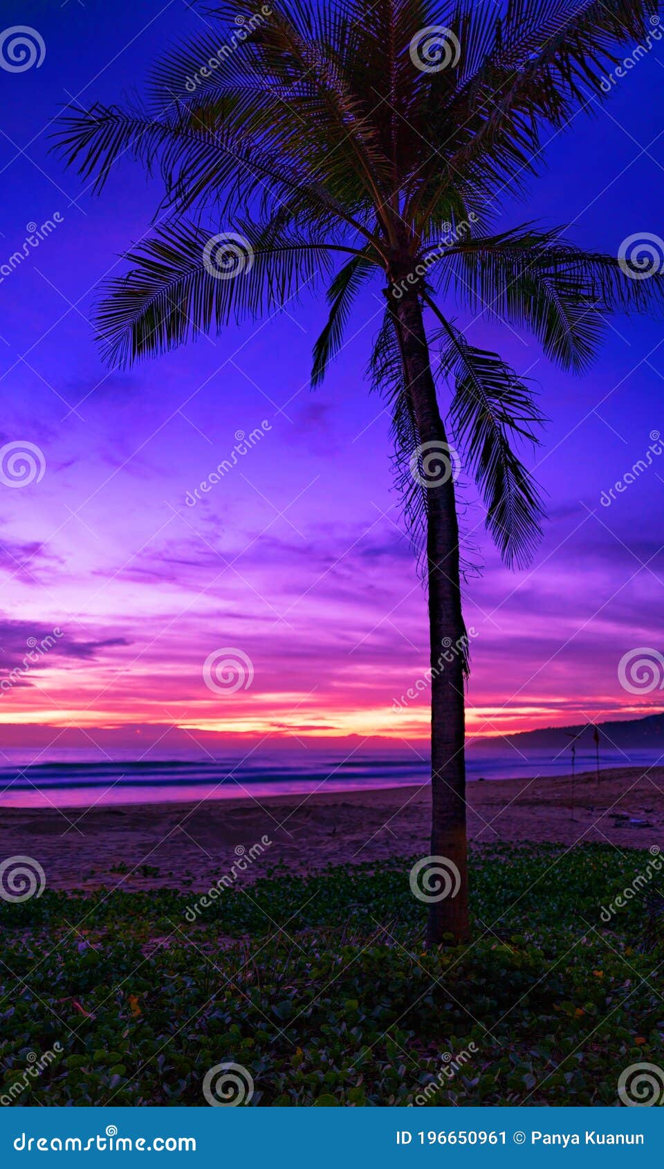 Silhouette Coconut Palm Tree Against Colorful Sunset Or Sunrise Sky On