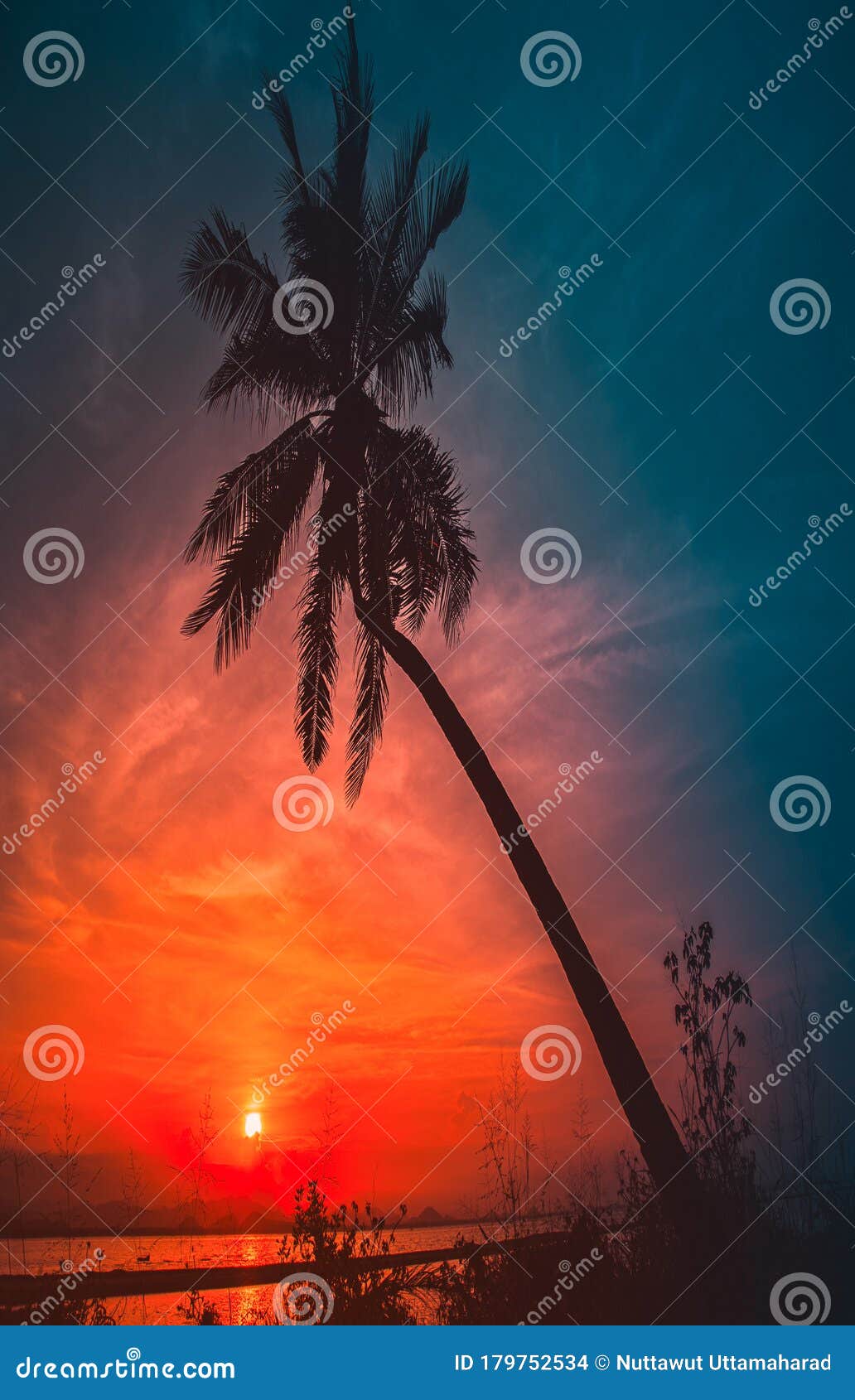 Download Silhouette Coconut Palm Trees On Beach At Sunset. Vintage ...