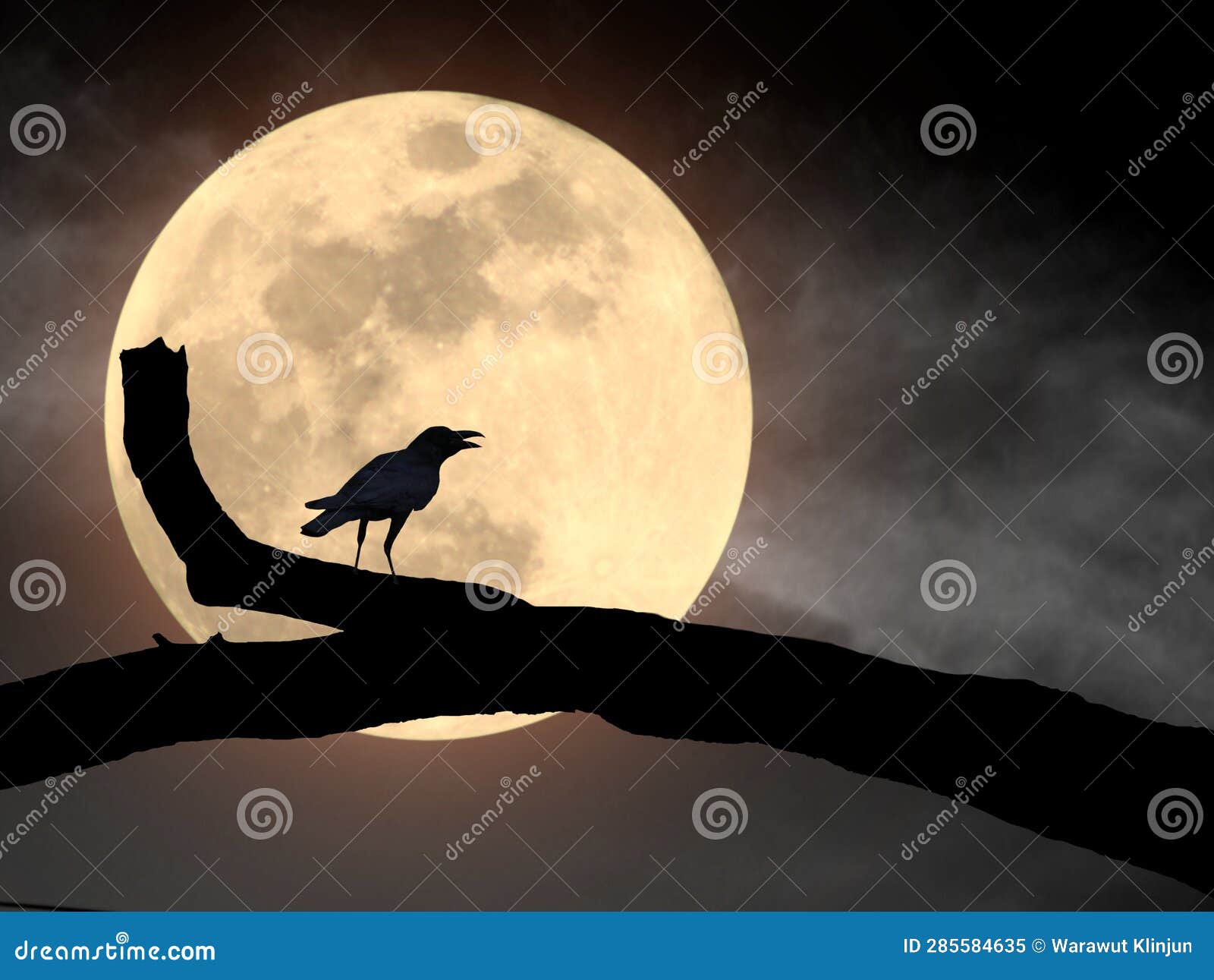 silhouette of a crow standing on a branch of a big tree at night with a full moon