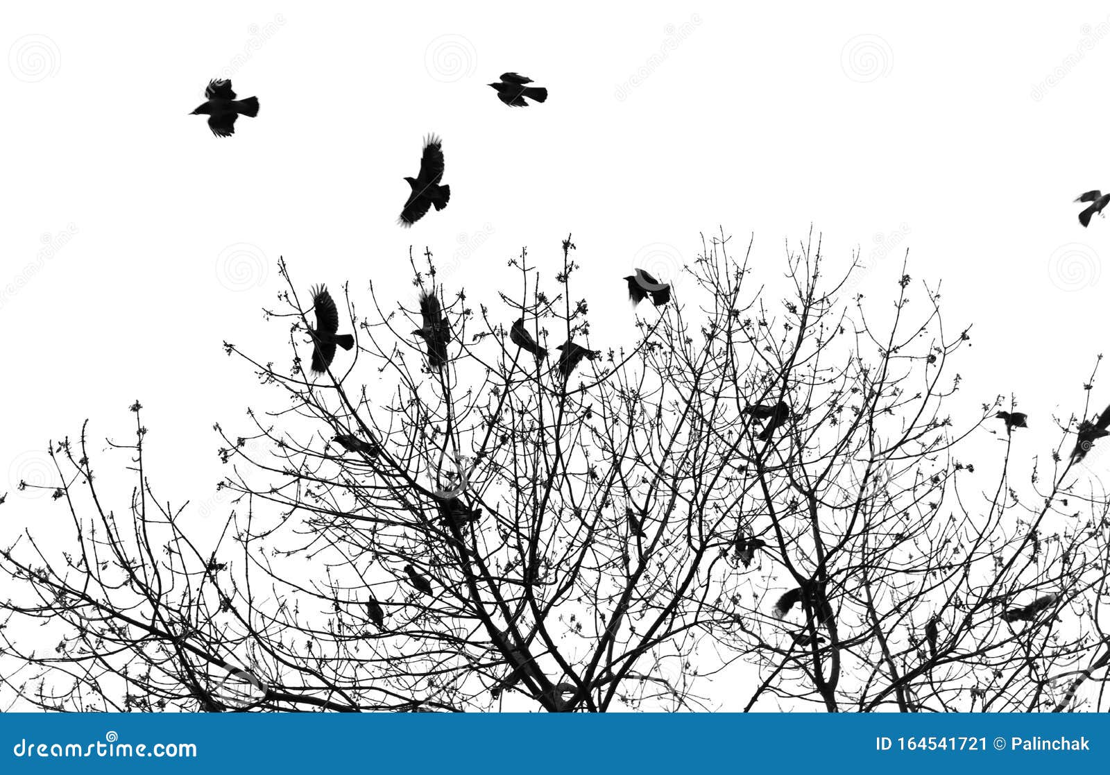 Silhouette of a Crow on a Tree Stock Image - Image of flying, black ...