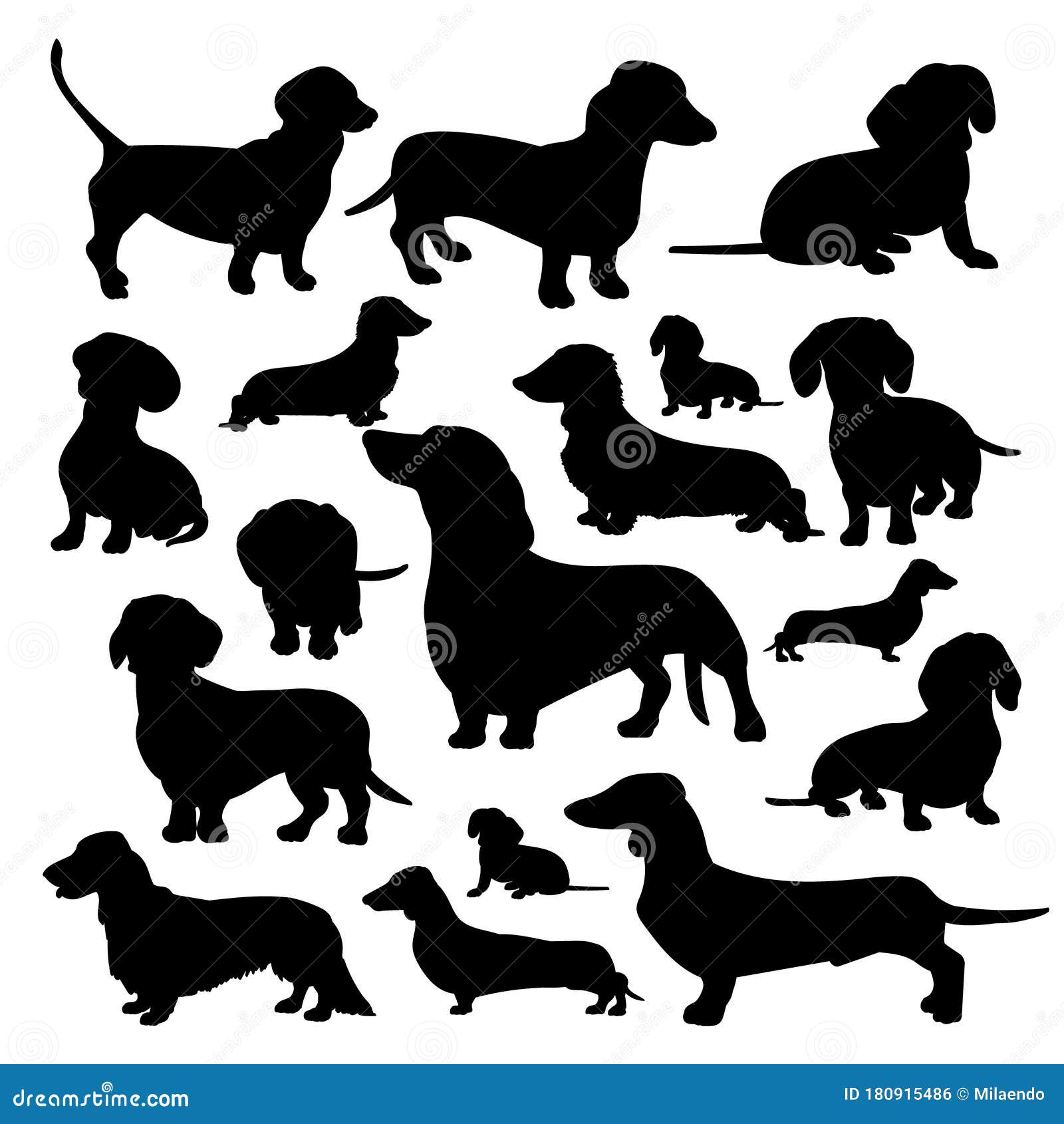 Silhouette of a Dachshund. Black Silhouette of a Dog, Set of