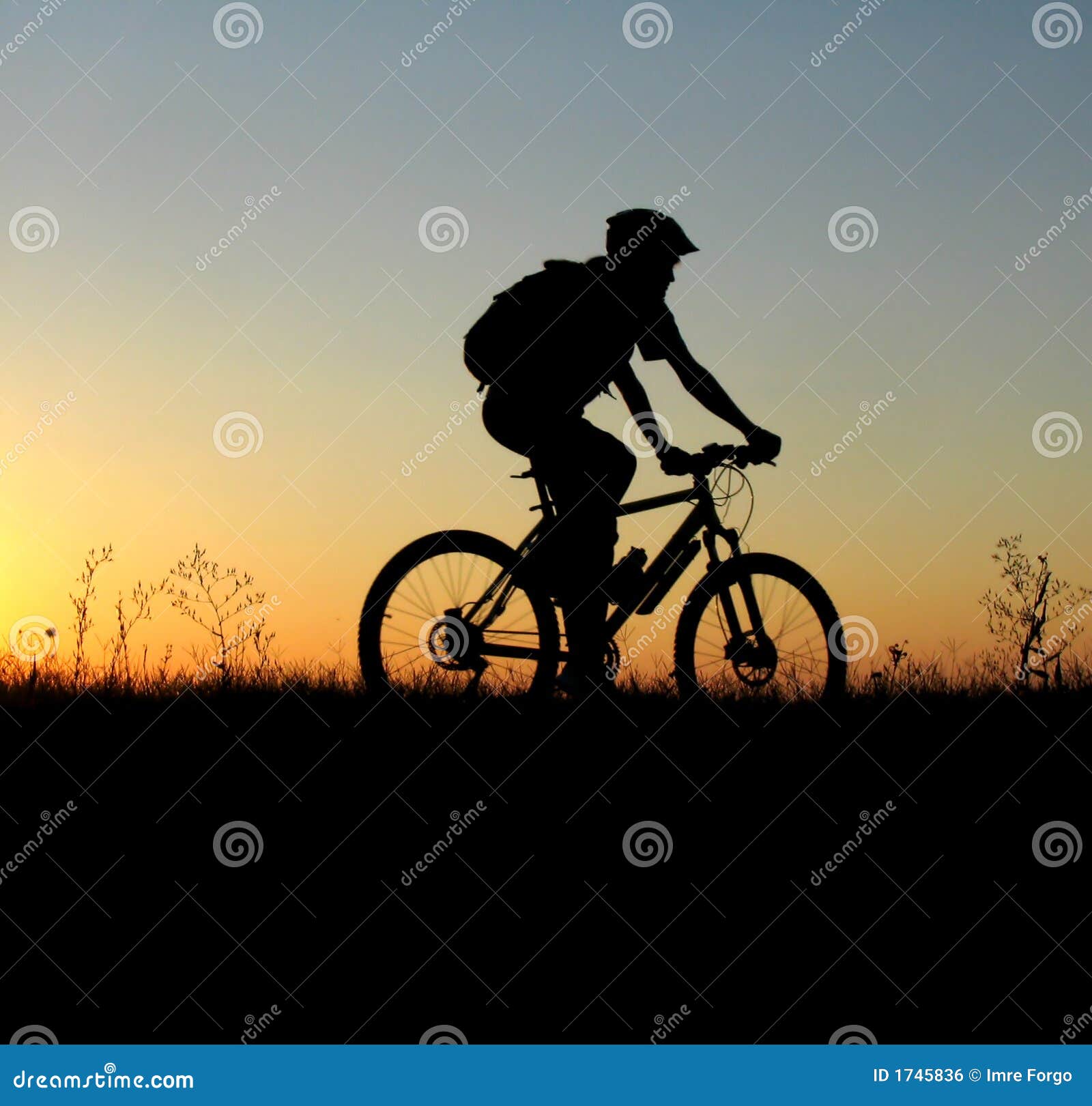 Biker Homme Est Assis Sur Un Vélo Banque D'Images et Photos Libres De  Droits. Image 16615925