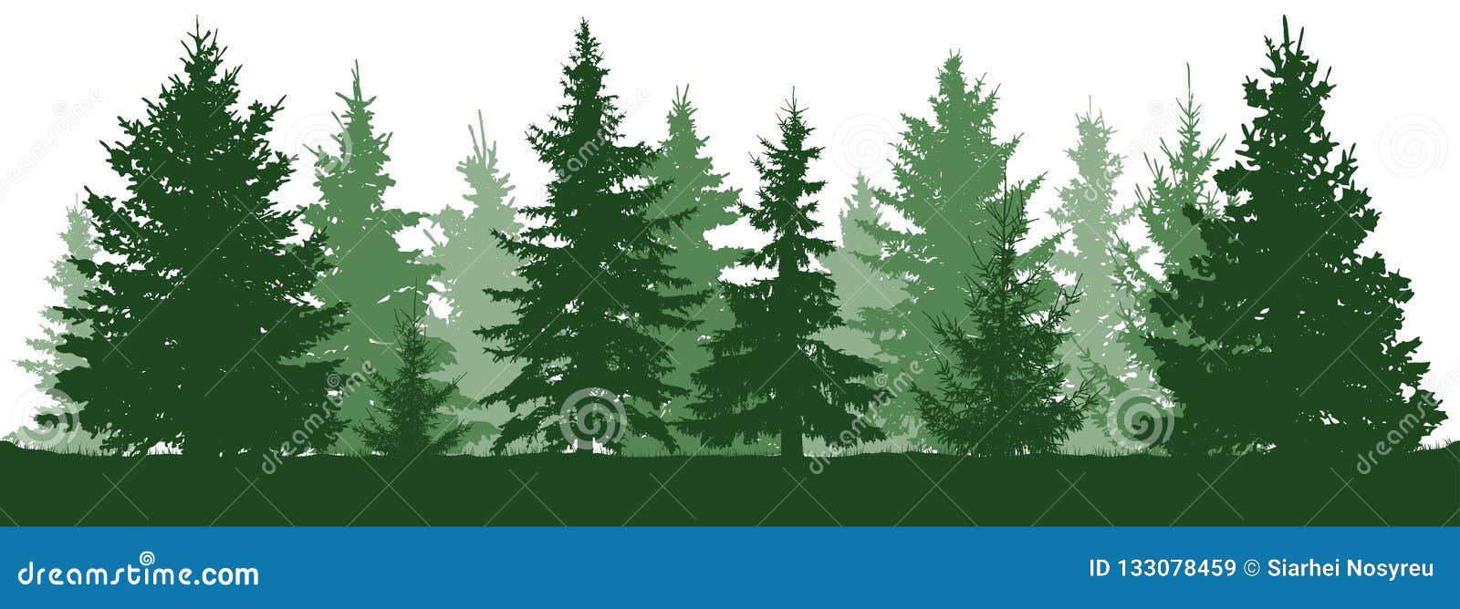 Silhouette De Sapins De Foret Sapin Vert Conifere Illustration De Vecteur Illustration Du Panorama Fond Silhouette De Sapins De Foret Sapin Vert Conifere Illustration De Vecteur Illustration Du Panorama Fond