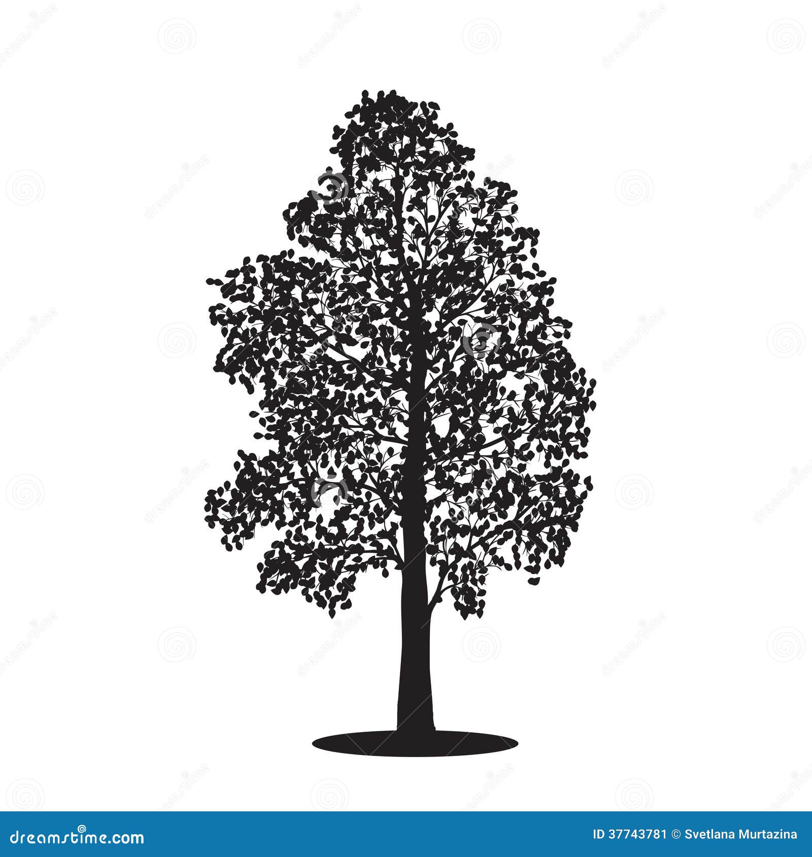 Silhouette Detached Tree Birch With Leaves, Vector Illustrations Stock