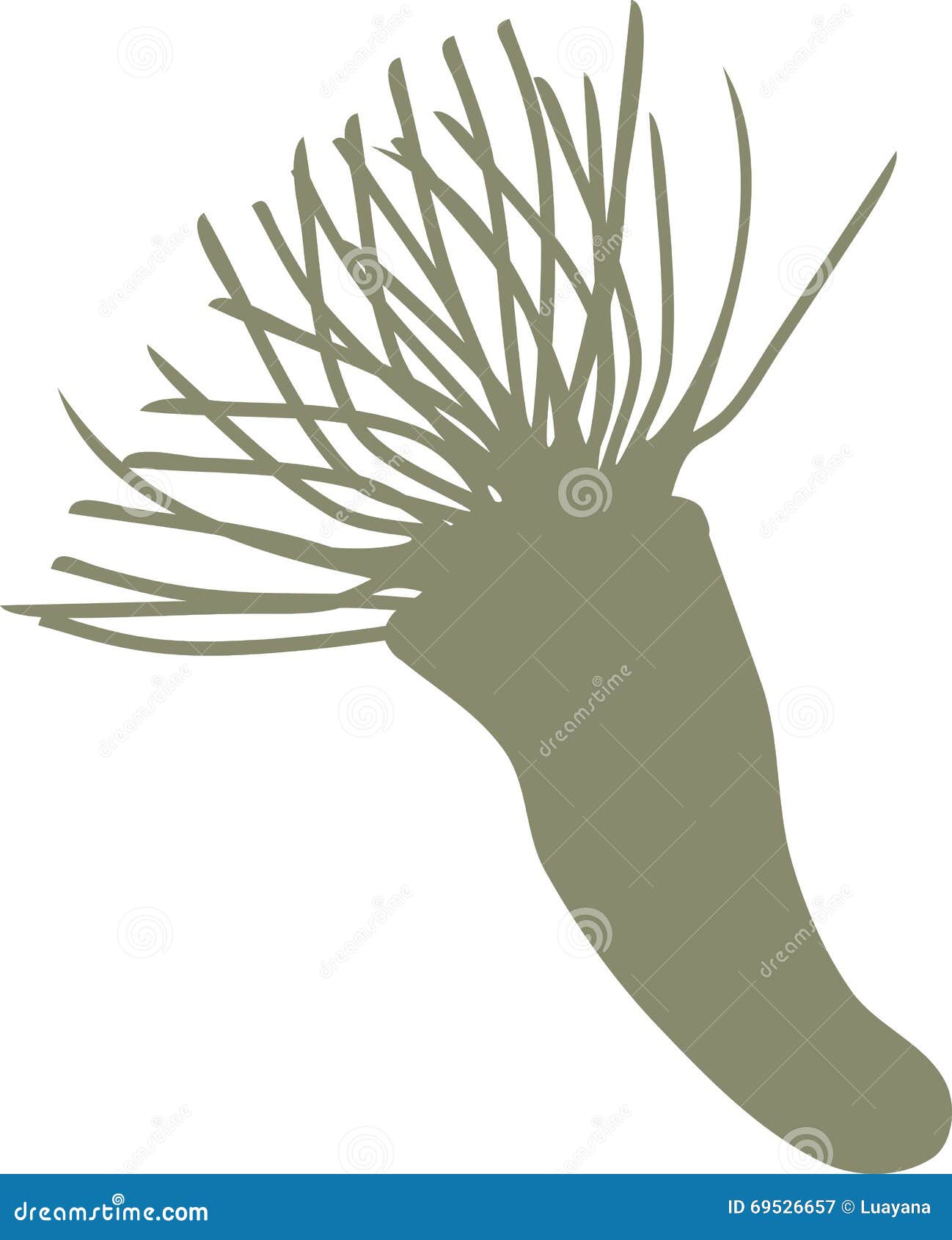 Silhouette of Feather Duster Worm Stock Vector Illustration of tube
