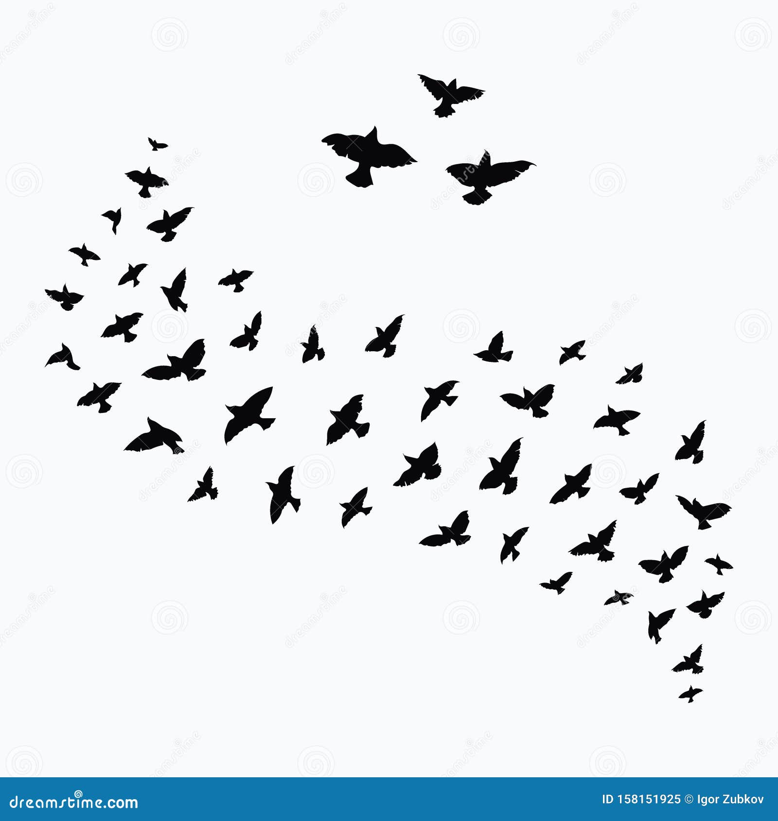 flocks of birds flying in patterns flocks of birds flying in patterns