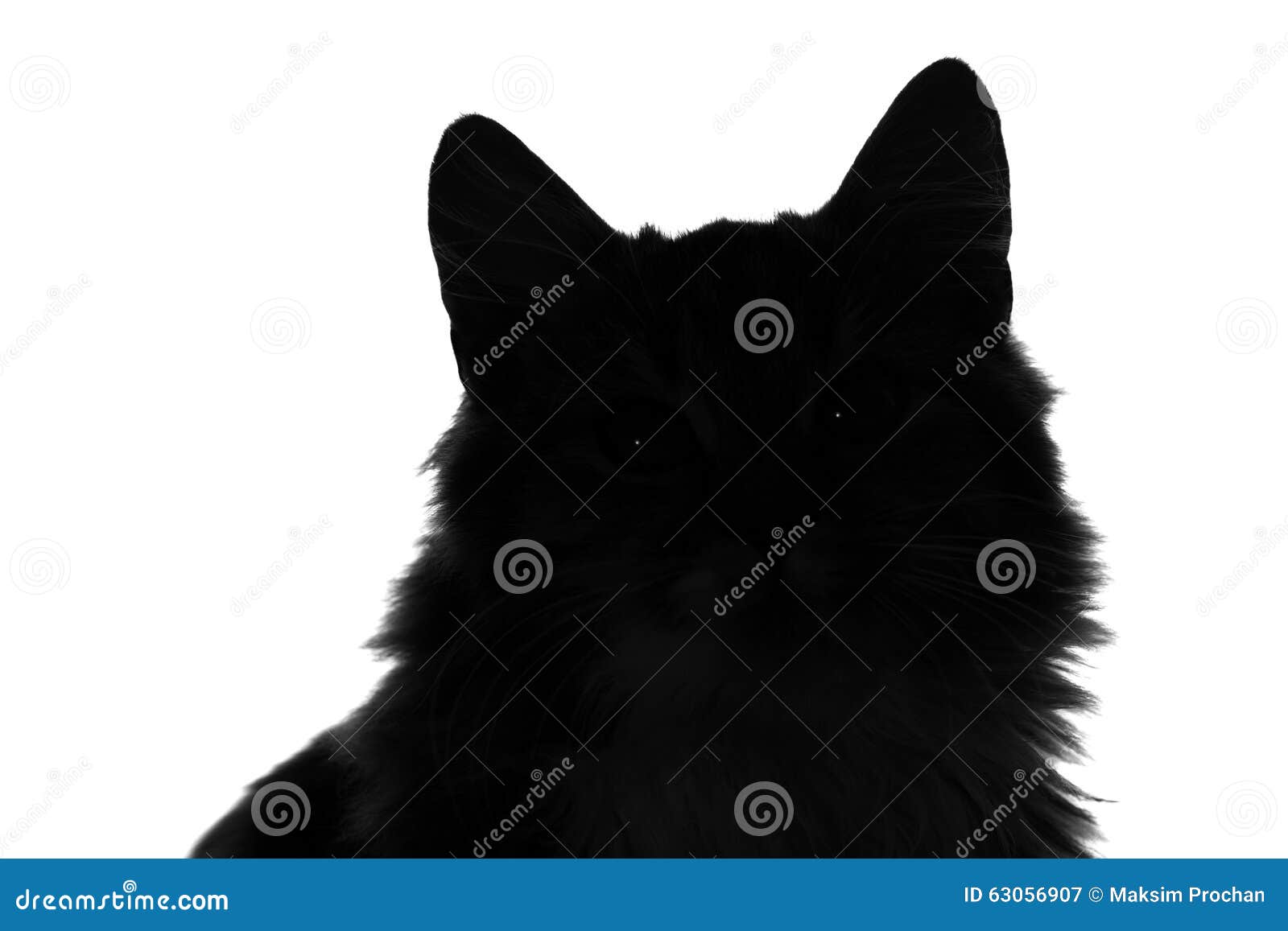 Silhouette of Fluffy Cat on a White Background Stock Image - Image of