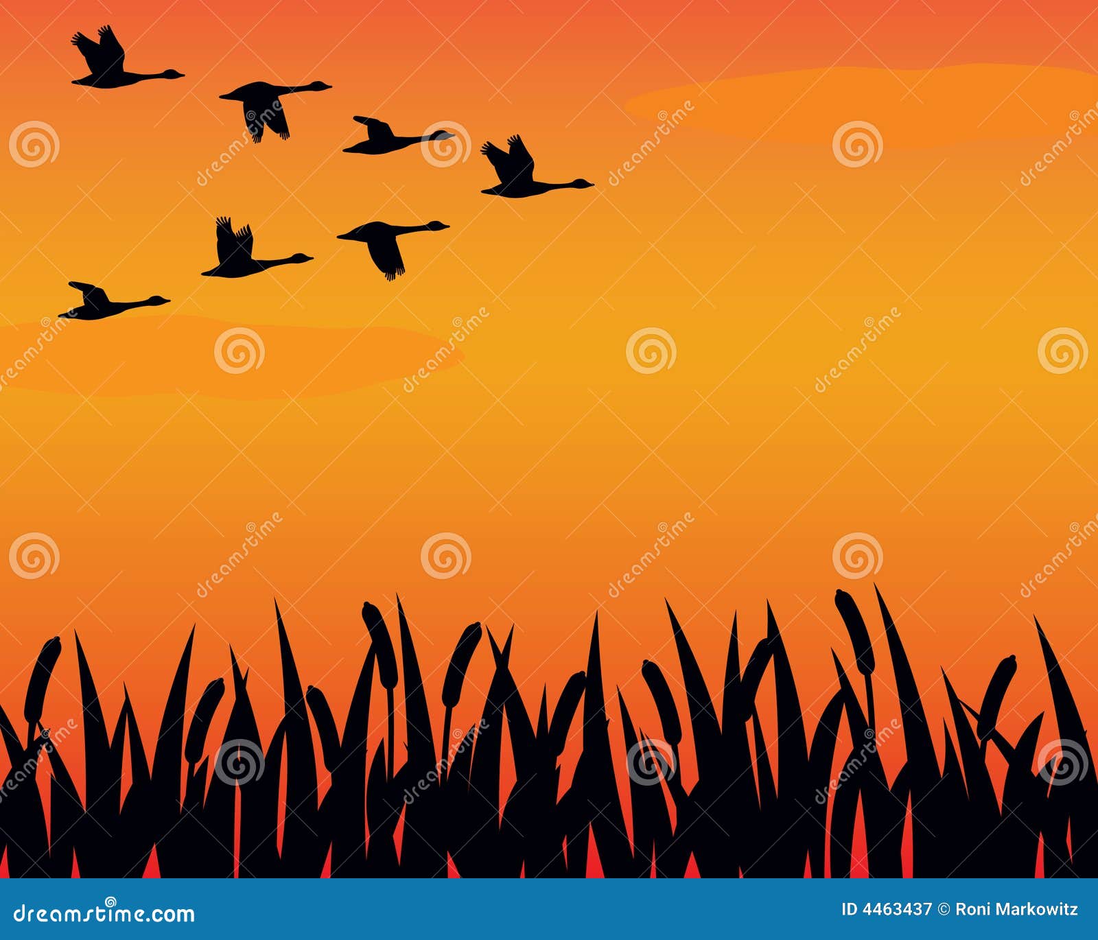 silhouette geese and marsh