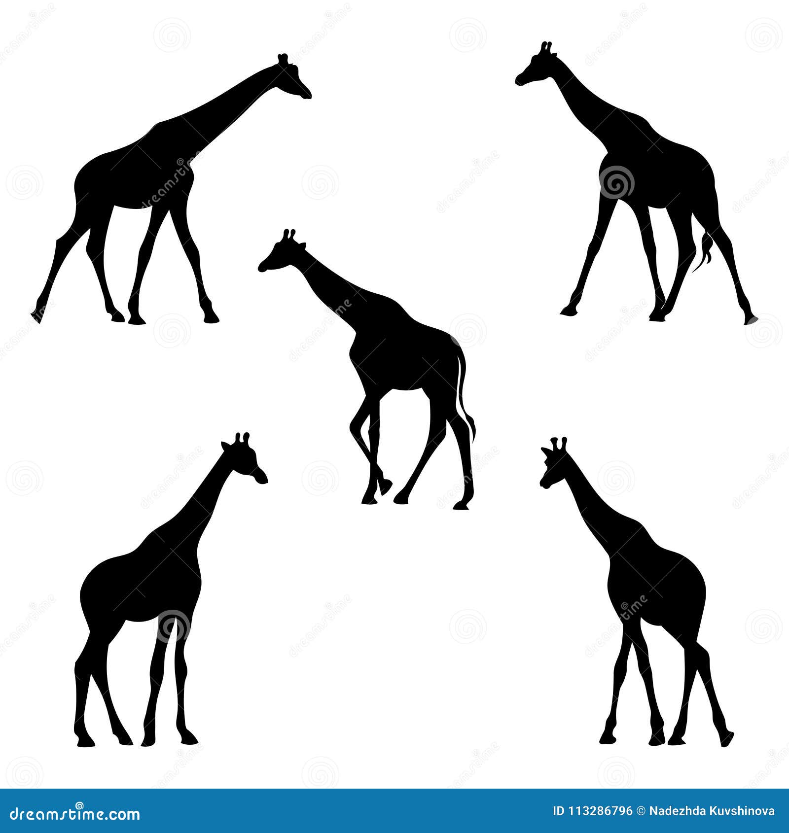 Download Silhouette of giraffes. stock vector. Illustration of ...