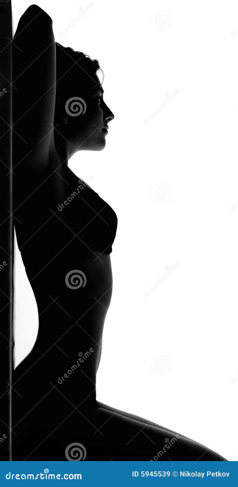 Tête De Femme De Profil Sur Blanc PNG , Visages Féminins Profil Silhouette  Noire Contour Avatar Portrait, image size:826x1690