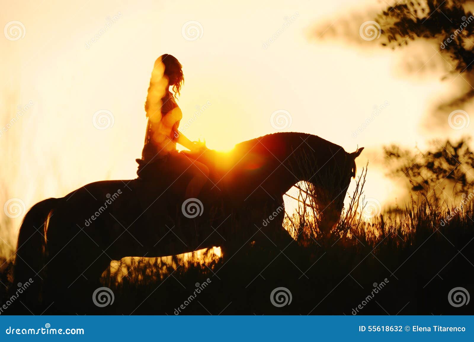 silhouette of a girl riding a horse at the sunset