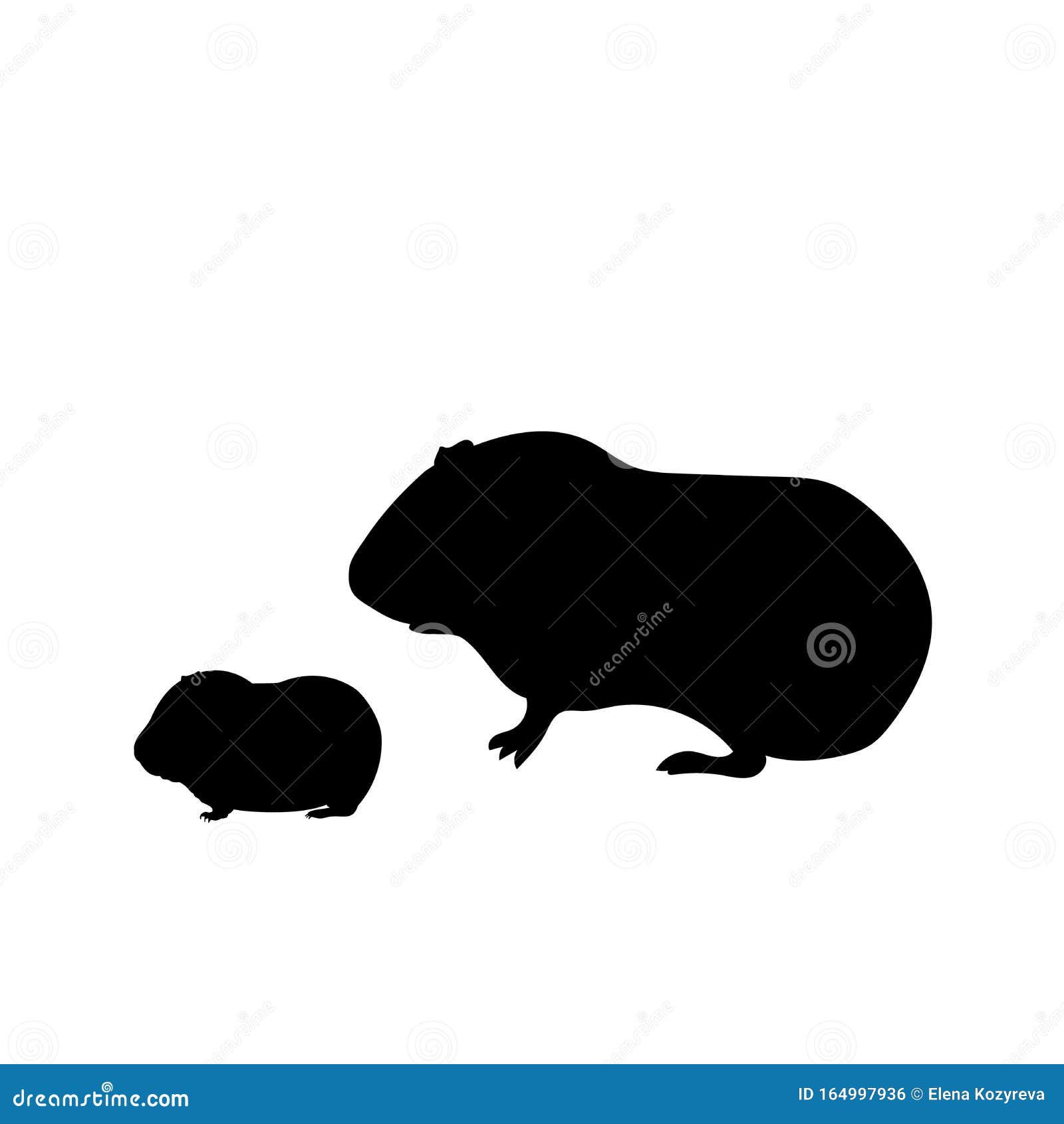 Download Silhouette Of Guinea Pig And Young Little Guinea Pig Stock ...