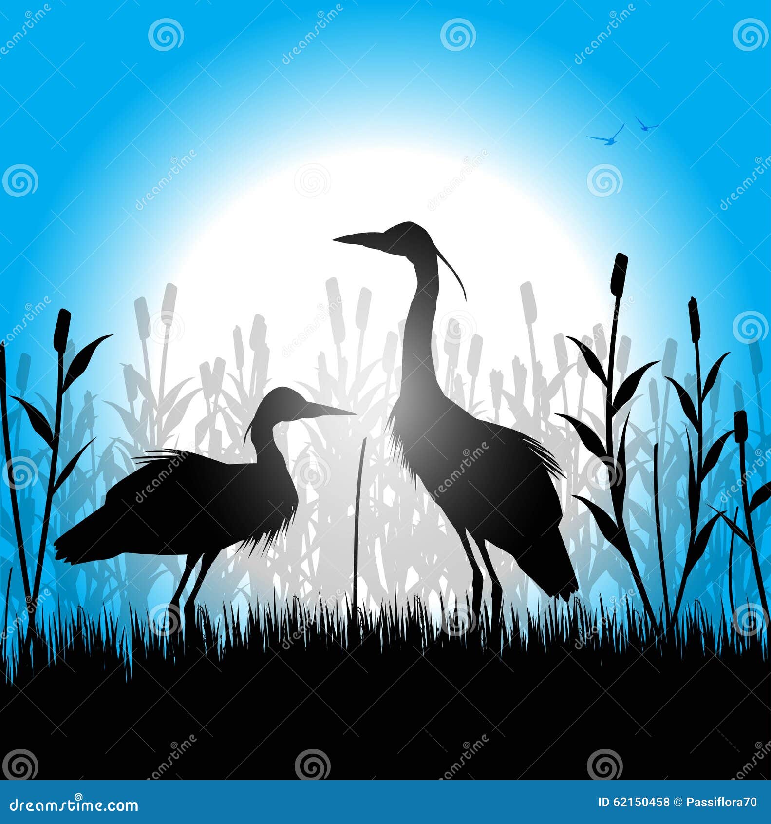 silhouette of herons in the marsh