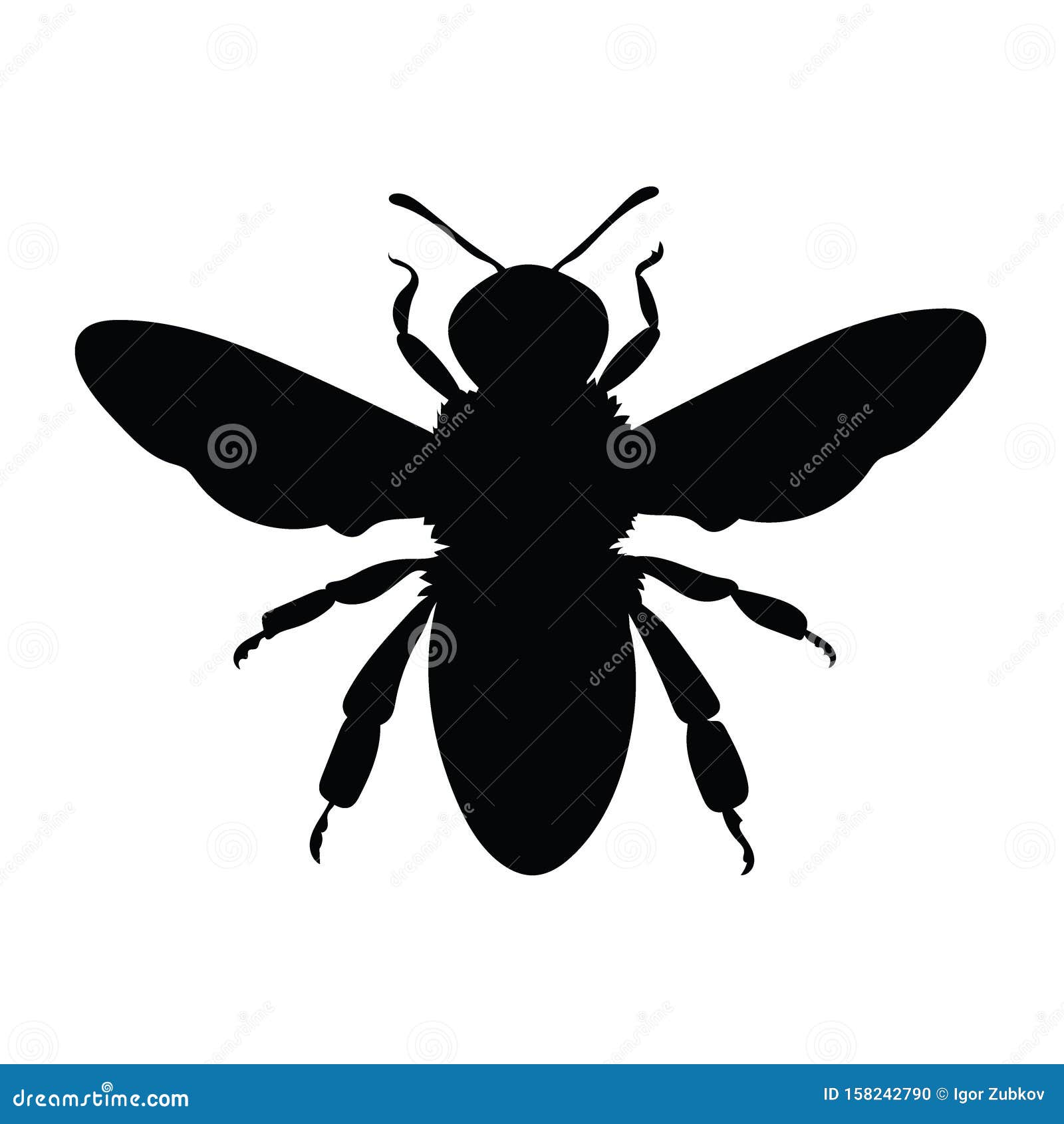 Download Silhouette Of A Honey Bee. Contours Of A Wasp. Black Bee ...
