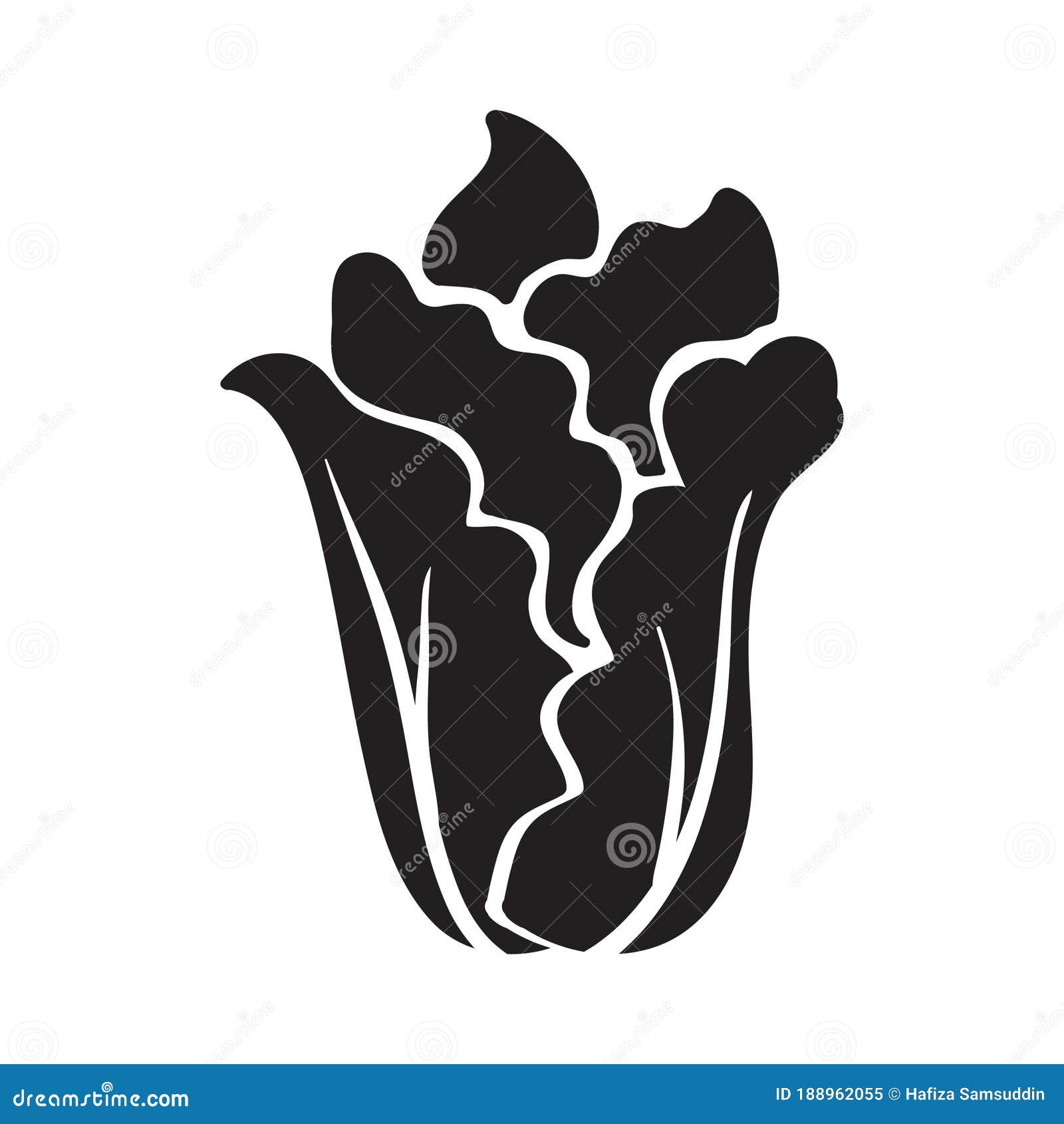 Silhouette of Lettuce. Vector Illustration Decorative Design Stock