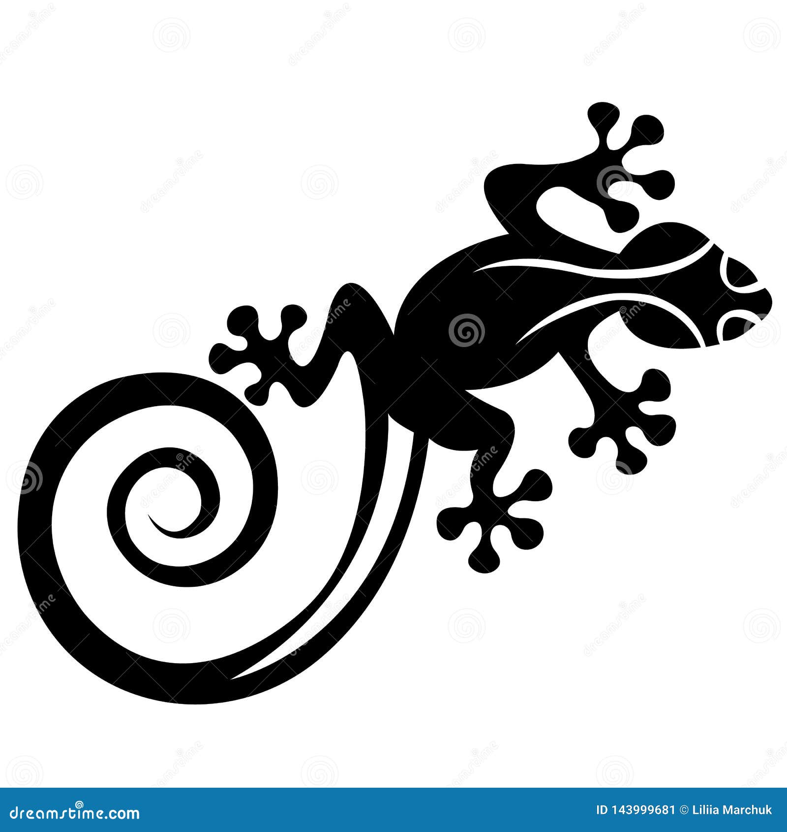 Silhouette Of A Lizard Salamendra Drawn In Black On A White Background