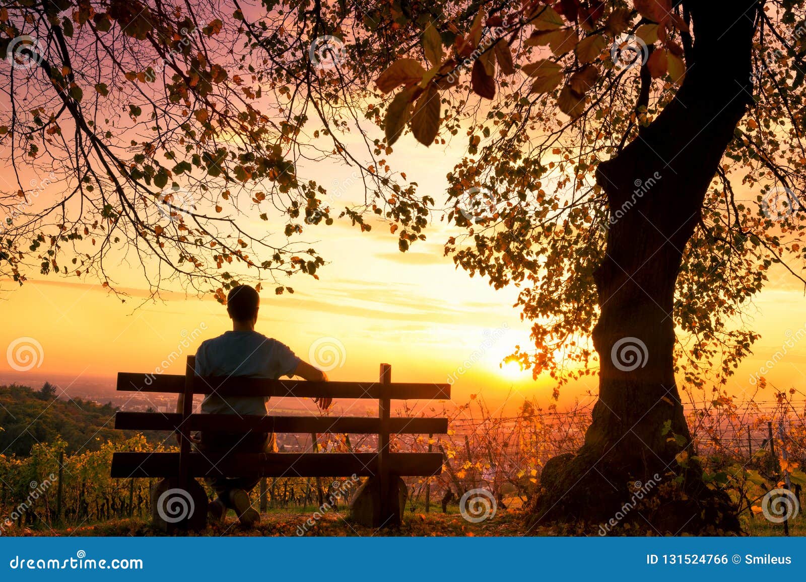Man Sitting On Bench Silhouette.
