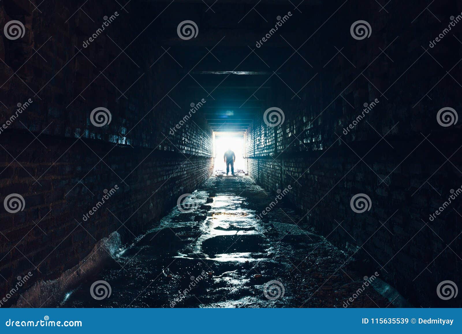 44 398 Dark Underground Photos Free Royalty Free Stock Photos From Dreamstime 44 398 Dark Underground Photos Free Royalty Free Stock Photos From Dreamstime