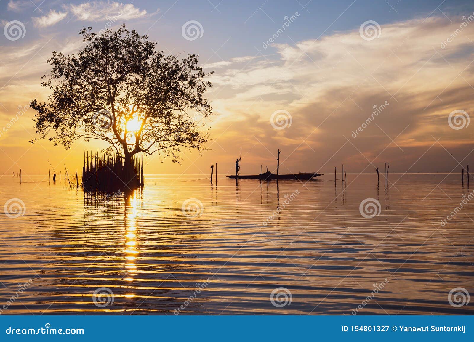 Silhouette of Mangrove Tree and Fisherman in Fishing Boat at Sunrise ...