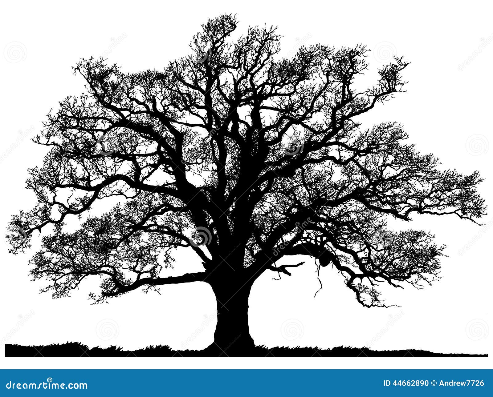 silhouette of oak tree