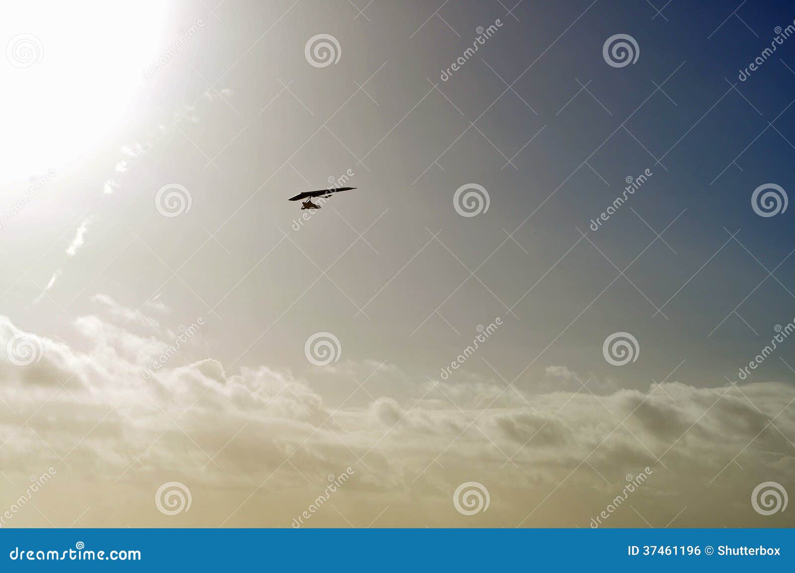 silhouette of paraglider in air