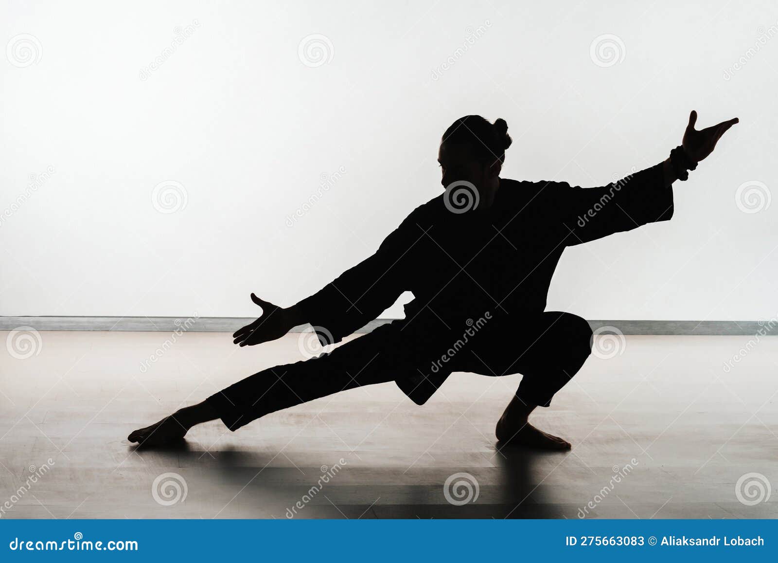 Silhouette of a Person Practicing Qigong Energy Exercises on a Light ...
