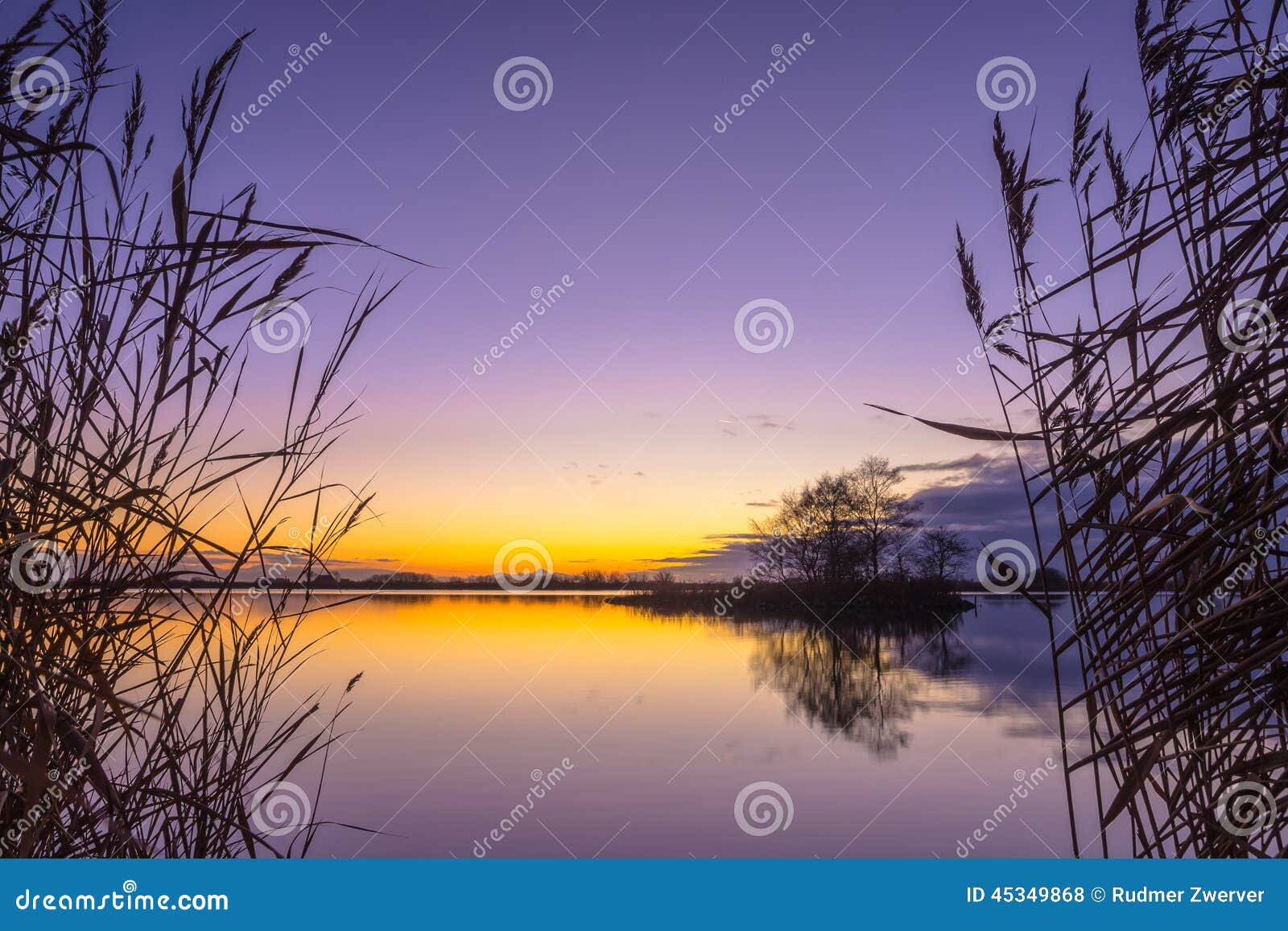 silhouette of reed with serene lake during sunset