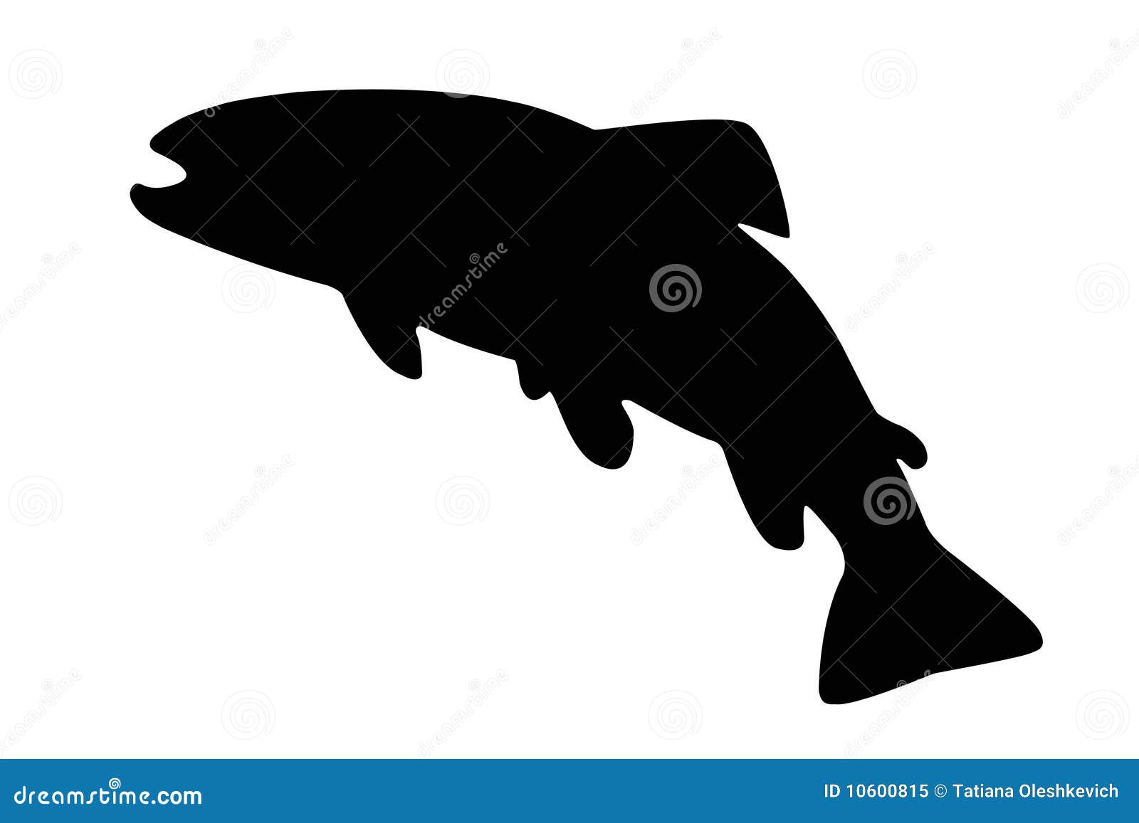 Silhouette of River Trout Isolate Stock Illustration Illustration of
