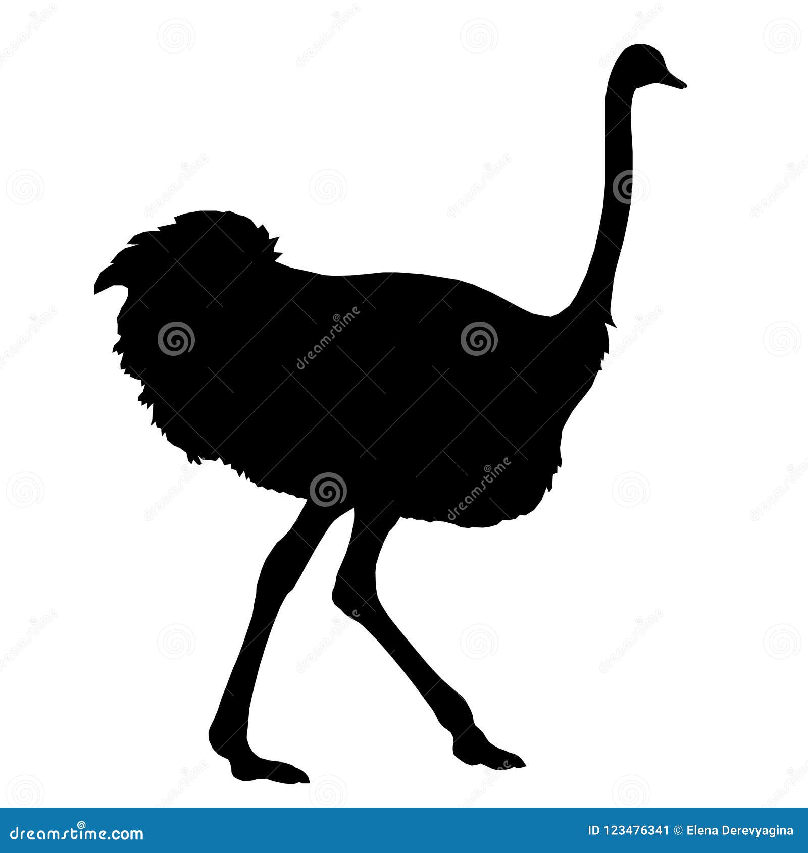 Download Silhouette Running African Ostrich Black On White ...