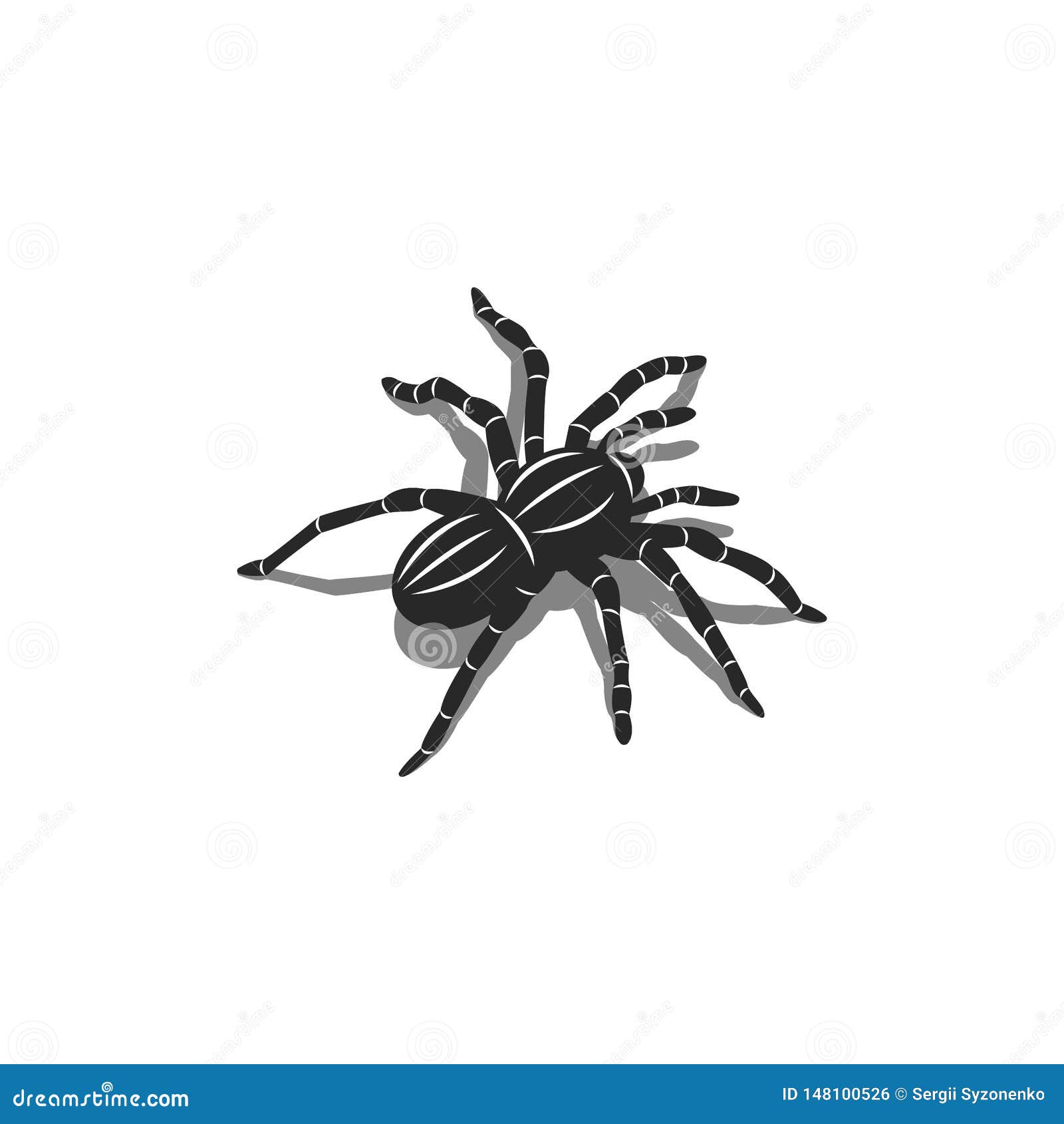 Silhouette of a Spider Tarantula Insect in Isometric Shape with Shadows, 3D  Tattoo Design Stock Vector - Illustration of animal, insect: 148100526