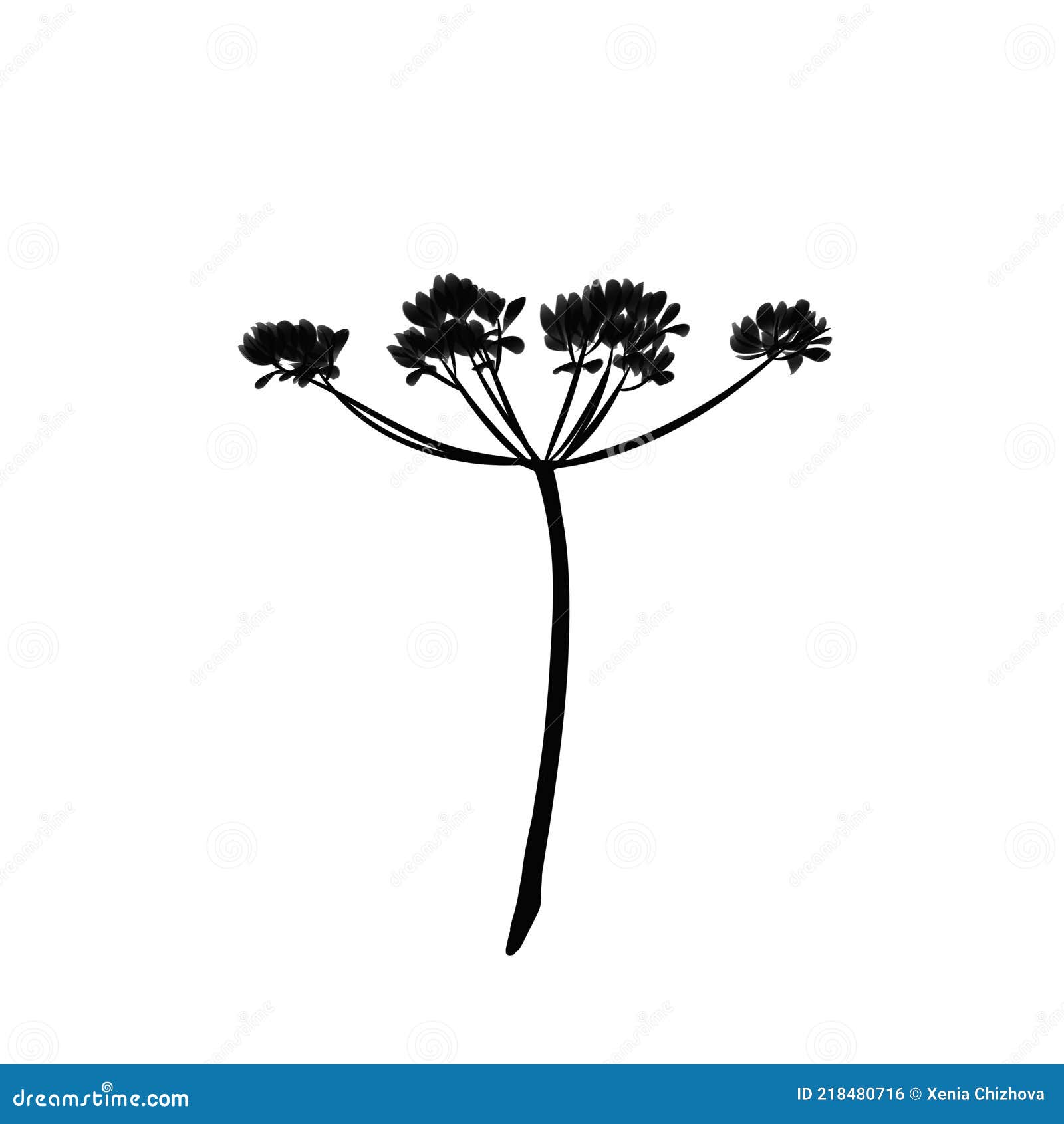 Silhouette of a Sprig of a Flower with Petals. Stock Illustration ...