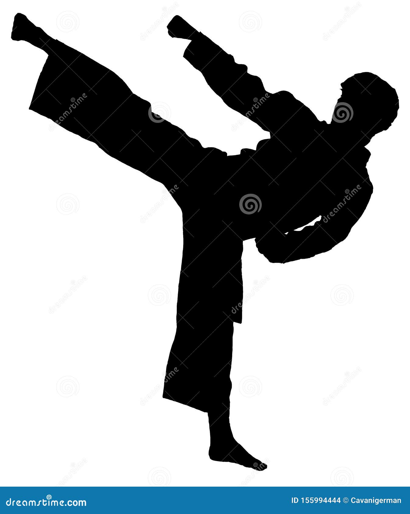 Silhouette of Taekwondo Kick Stock Photo Image of kick, korea 155994444