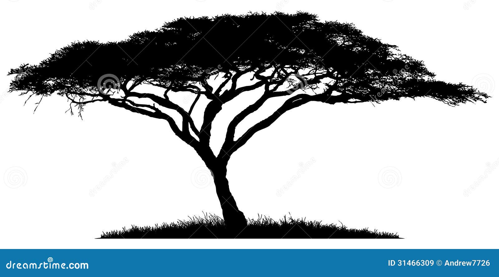 Featured image of post Acacia Tree Drawing Vector white acacia tree on blur background