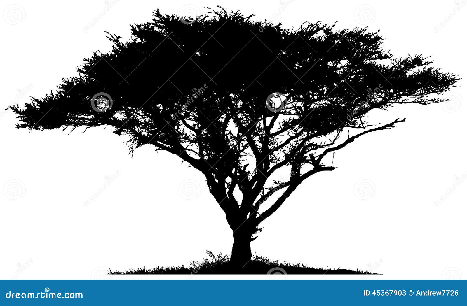 clip art african tree - photo #47