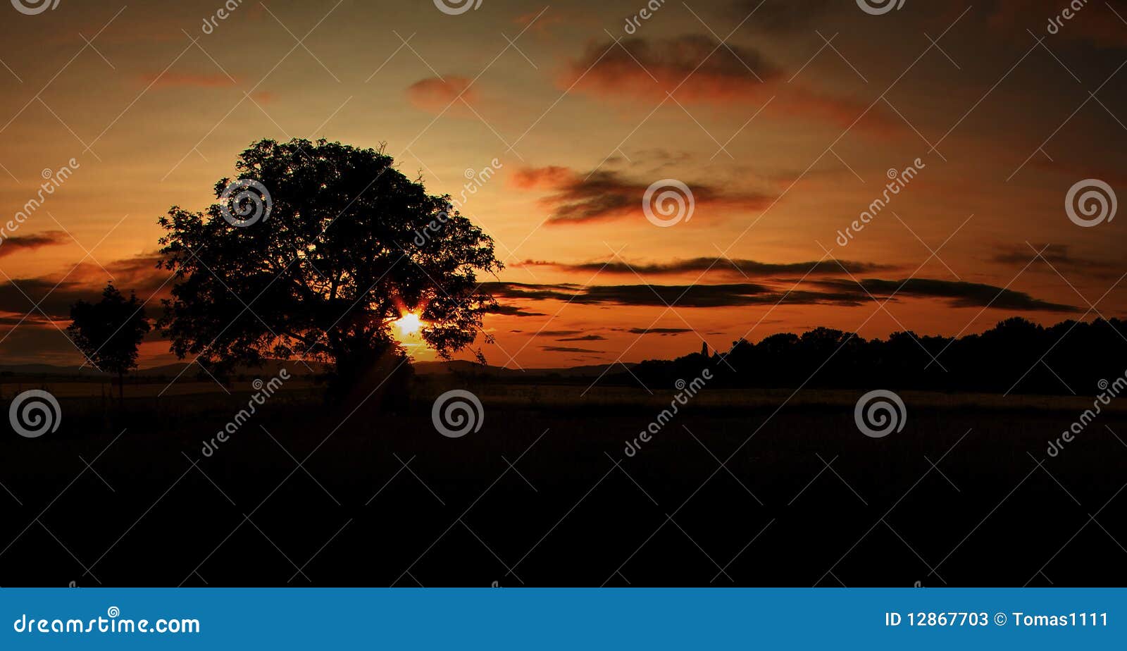 Silhouette of Tree during African Sunset Stock Image - Image of african