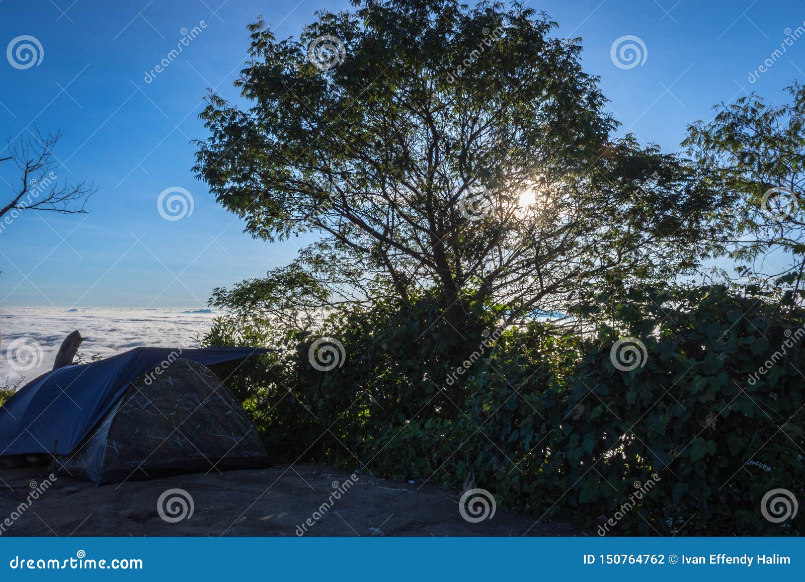 a silhouette of tree with colorful sunset or sunrise sky on campsite 7. raung is the most challenging of all javaÃ¢â¬â¢s mountain